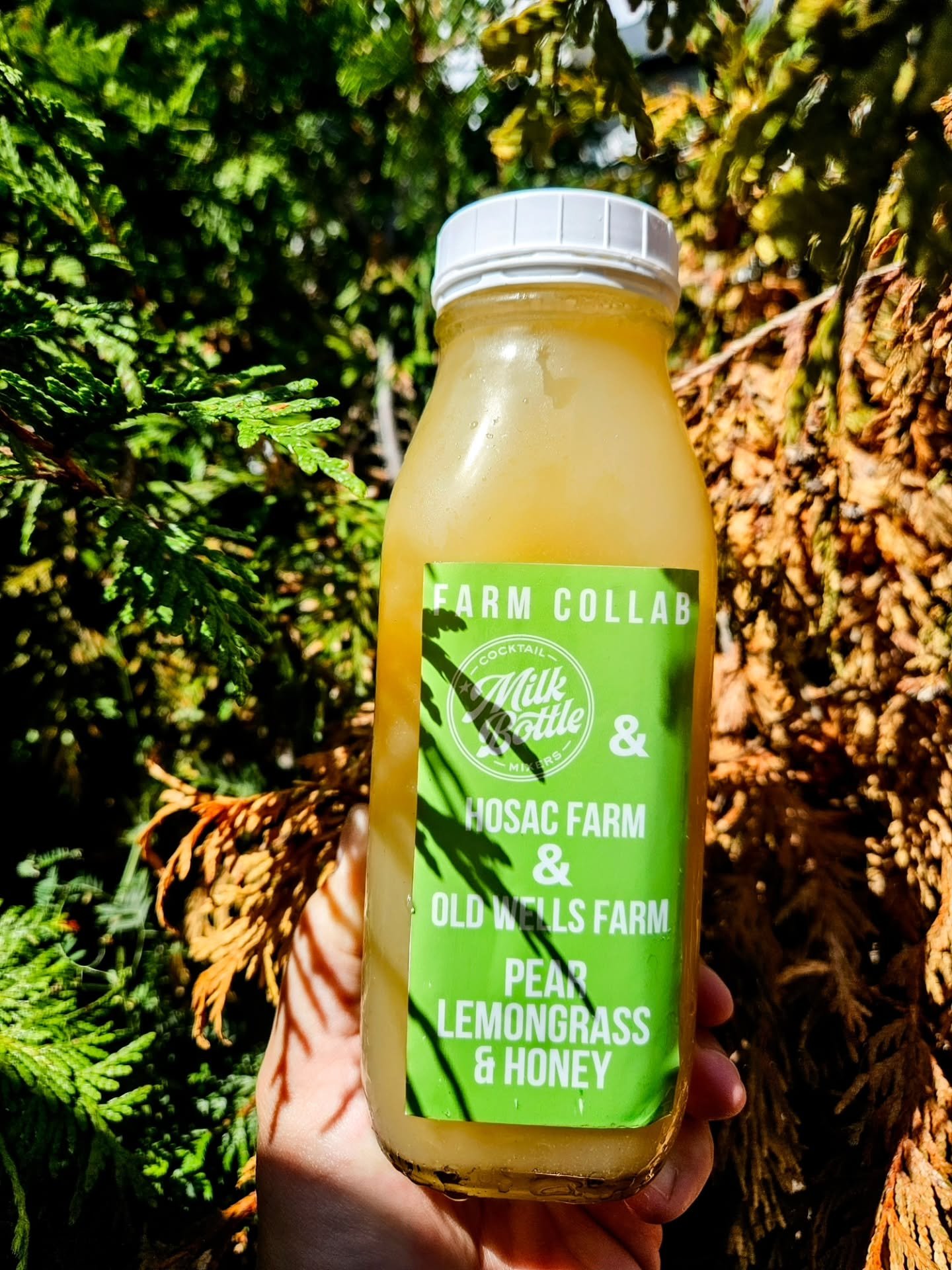 PEAR LEMONGRASS &amp; HONEY
LIMITED SUPPLY
THIS WEEKEND ONLY
We roasted Hosac Farm organic Pears with Maine honey and blended it up with some outstanding @oldwellsfarm Organic Lemongrass!

Today / Saturday @orangebikebrewing for their Gluten Free Exp