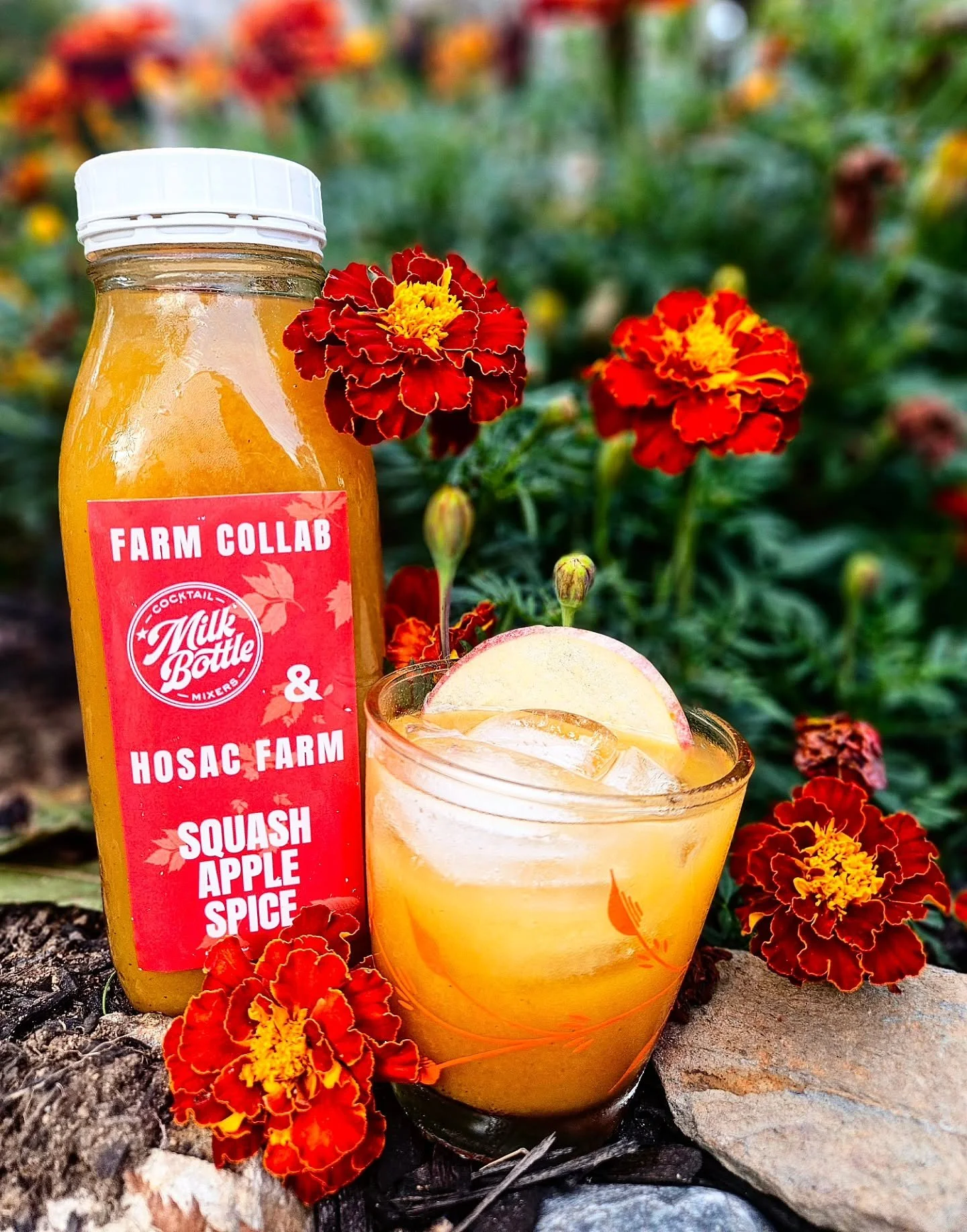 🍂SQUASH APPLE SPICE🍂
Our farm collab for @visitfreeport Fall Festival This Weekend!
We roasted Hosac Farm organic baby Butternut Squash with Local Cider and mixed in some classic fall spices &amp; brown sugar.
This one is for the PSL lovers It is a