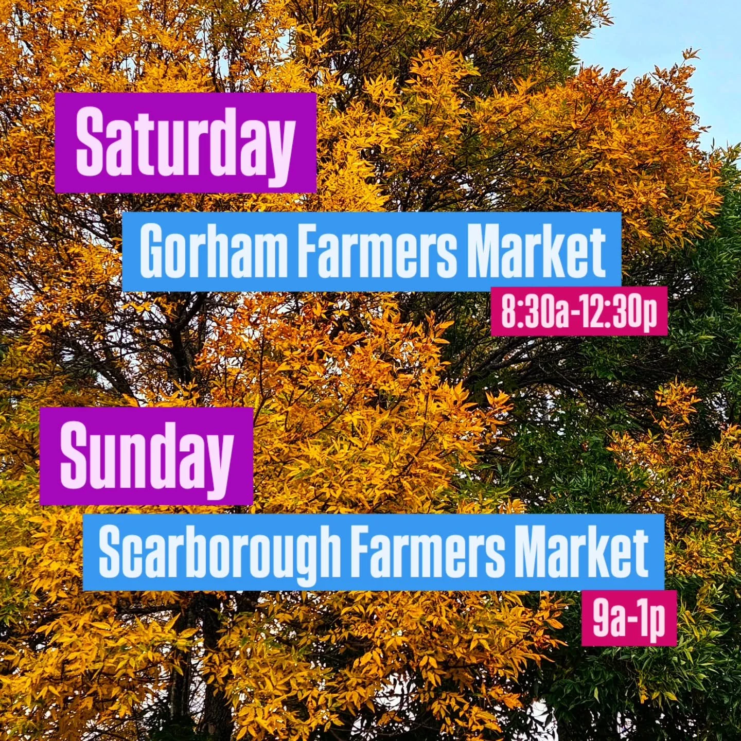 💥THIS WEEKEND💥
Find us back @gorhamfarmersmkt &amp; @scarboroughfarmersmarket 
We'll have all our classics PLUS
a gorgeous fall farm collab!
See you out there loves!!