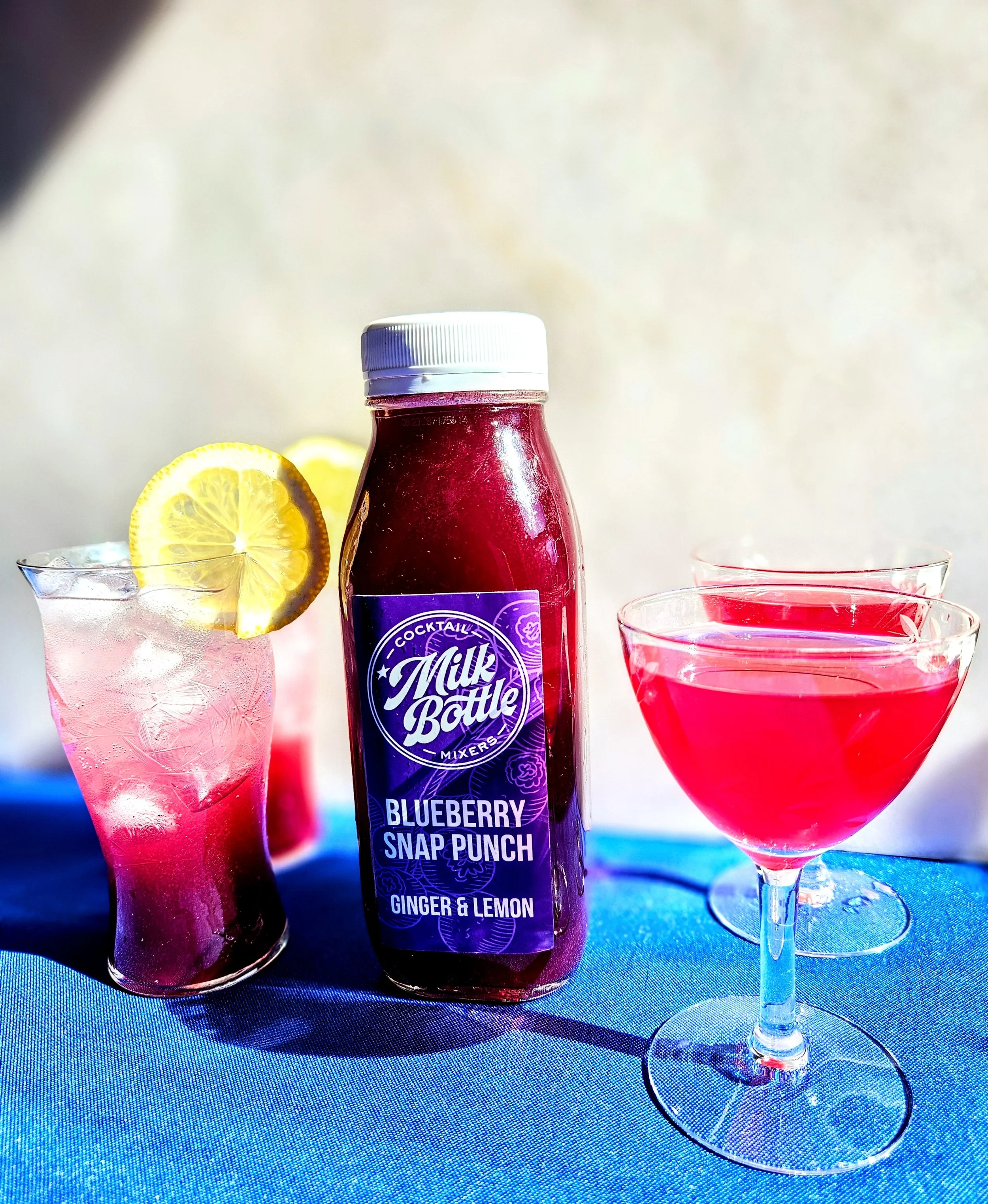 Blueberry Snap Punch - The belle of the ball, this beaut is packed with Wild Maine Blueberries, a hint of lemon and snap of ginger.  This mix goes well with the whole spectrum of spirits from bitters to rums, tequila & mezcal to vodka & gin. It also 