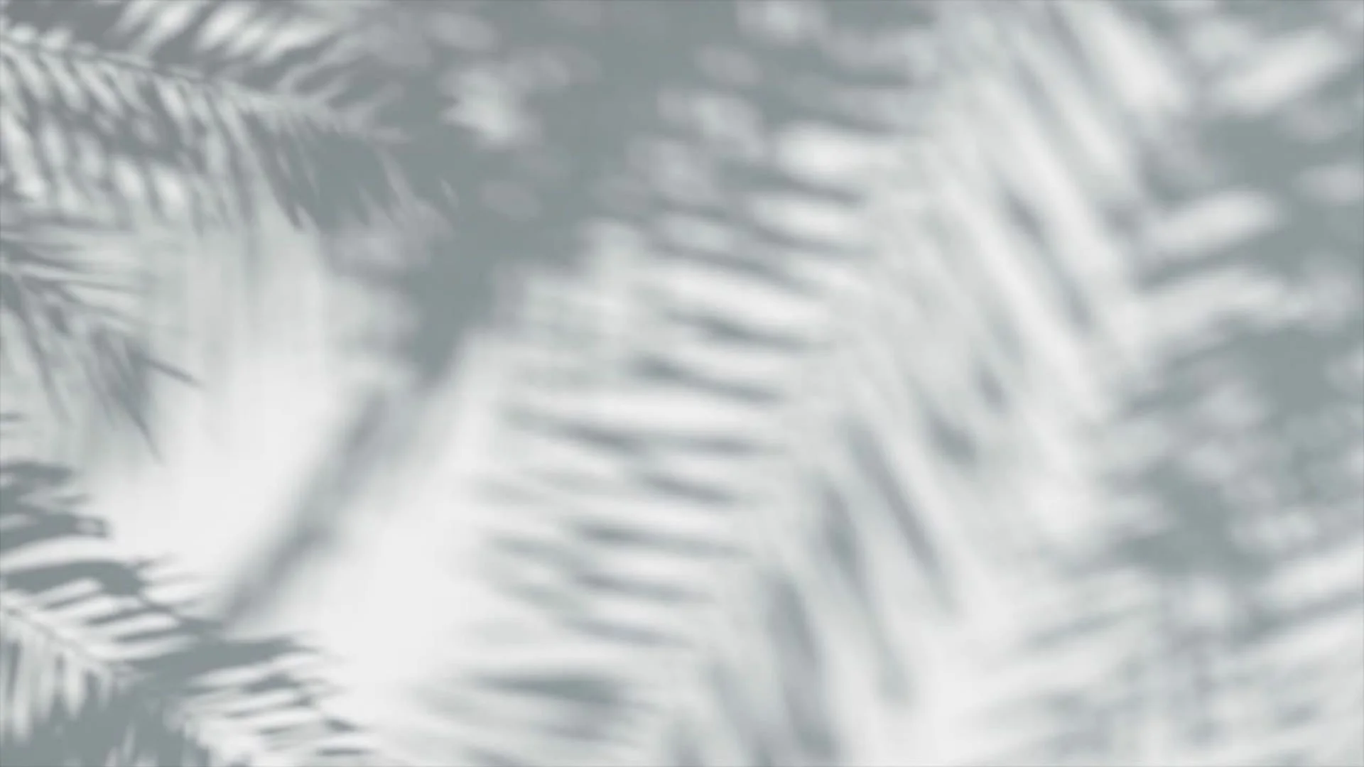 Lizet - Video (3).jpg