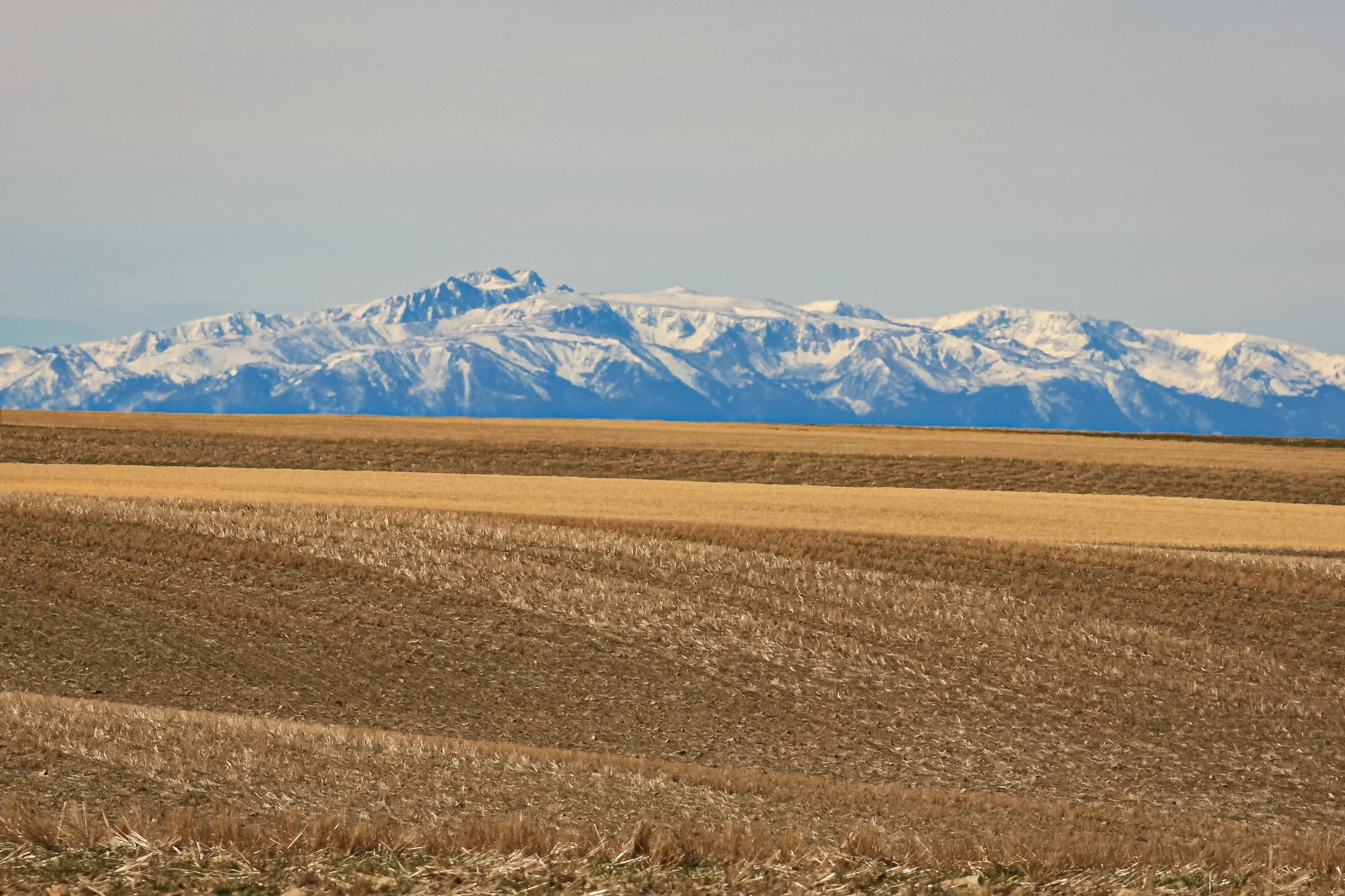 Harvested fields stretch toward a line of snow-covered peaks.