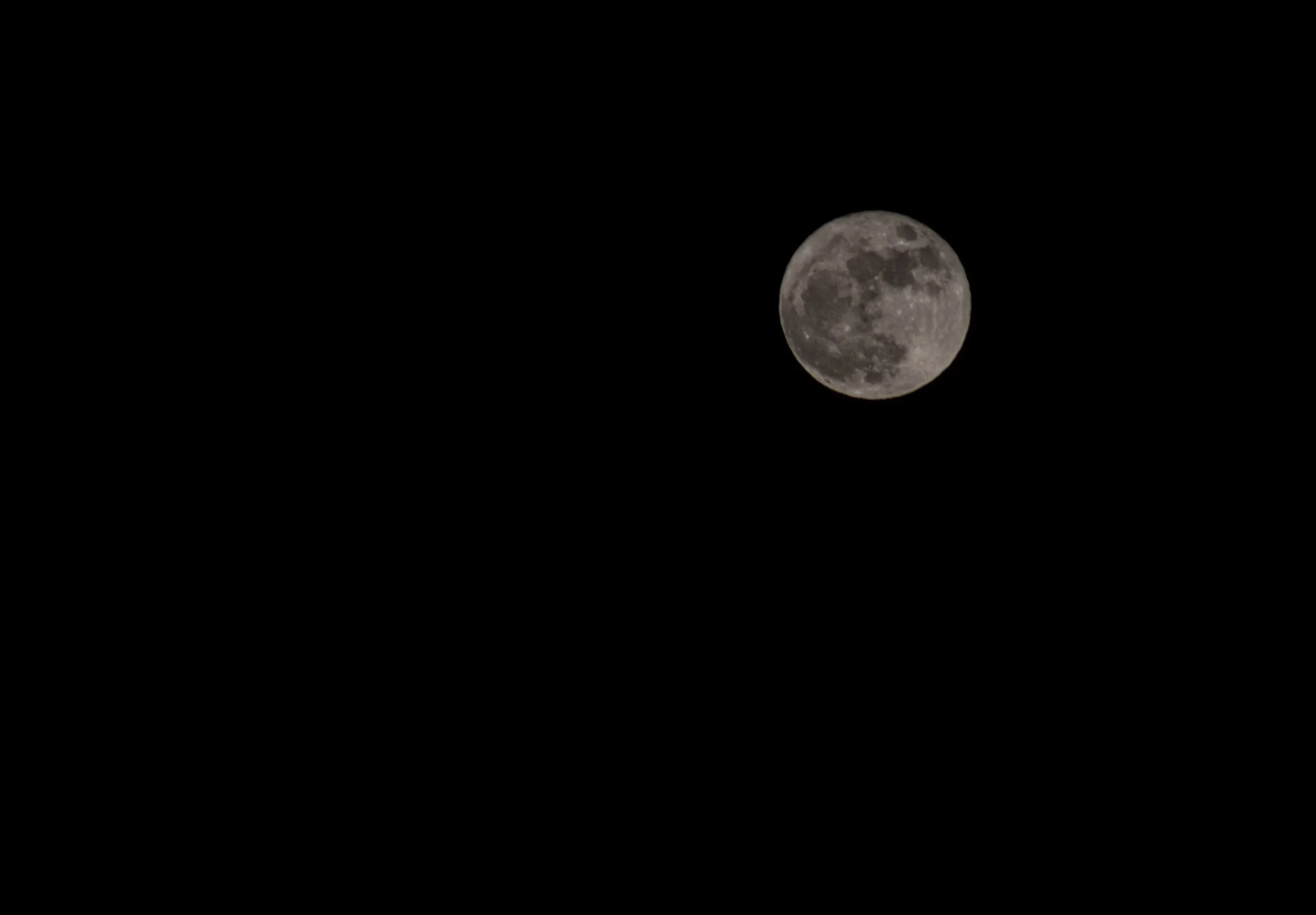 A bright moon hangs against a black night sky.