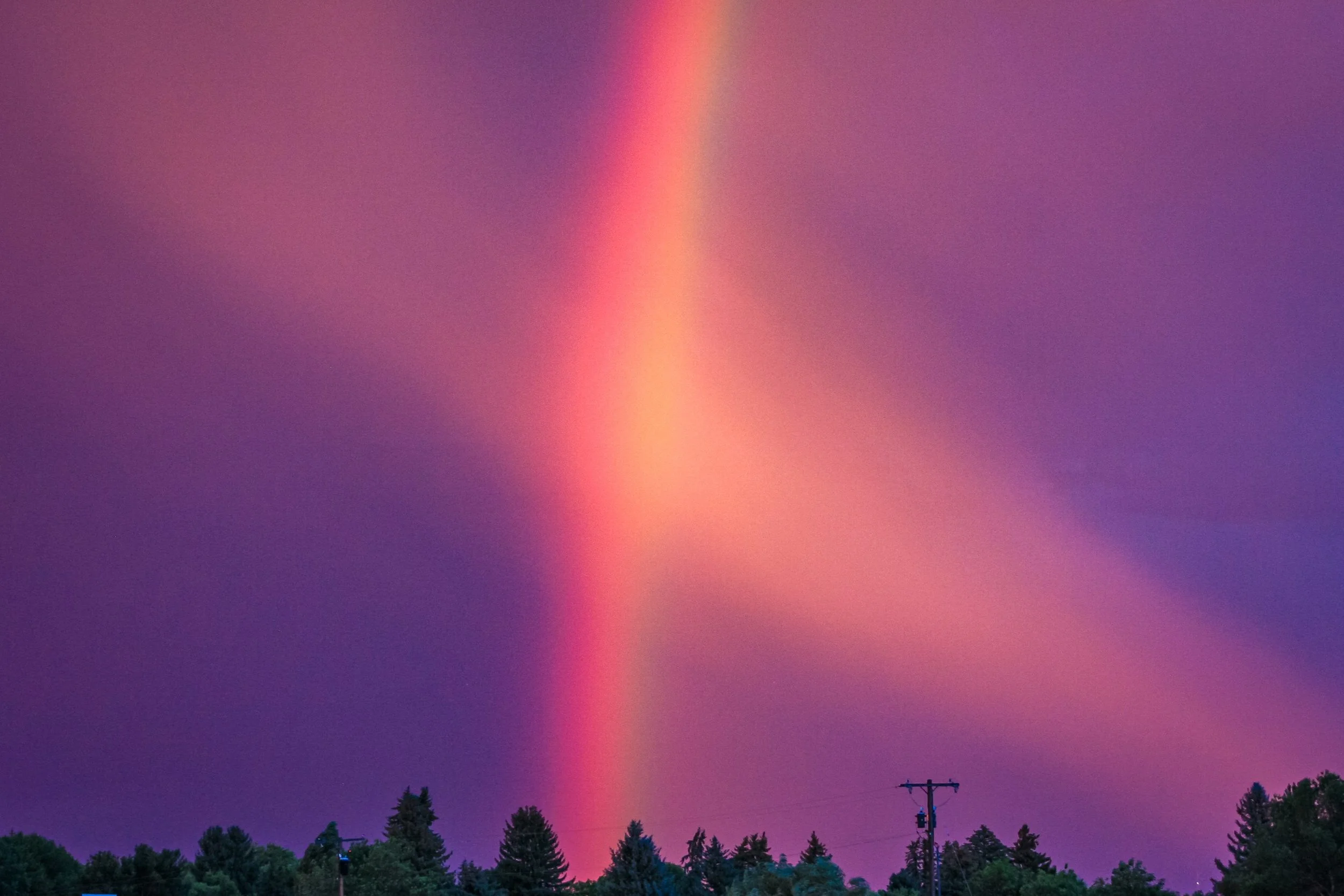 A vivid rainbow rises above a dark treeline in pink sunset light.