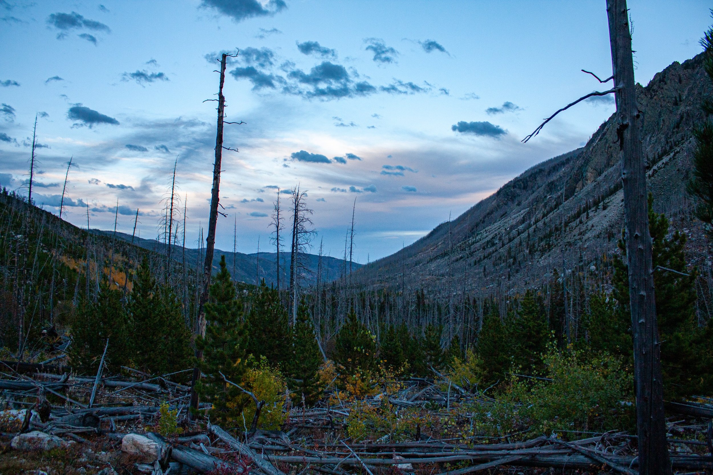 A forested mountain valley opens beneath a blue evening sky.