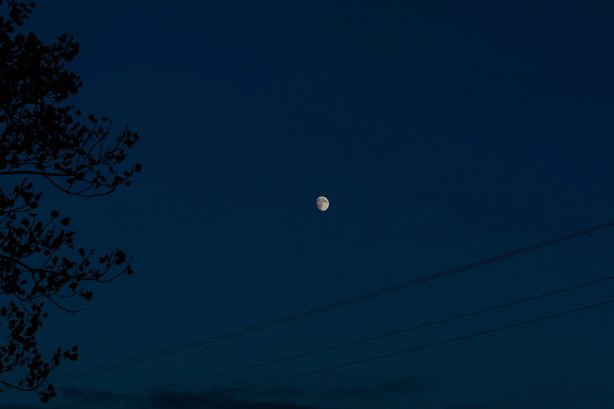 The moon glows above a silhouetted rooftop and utility lines in a blue evening sky.