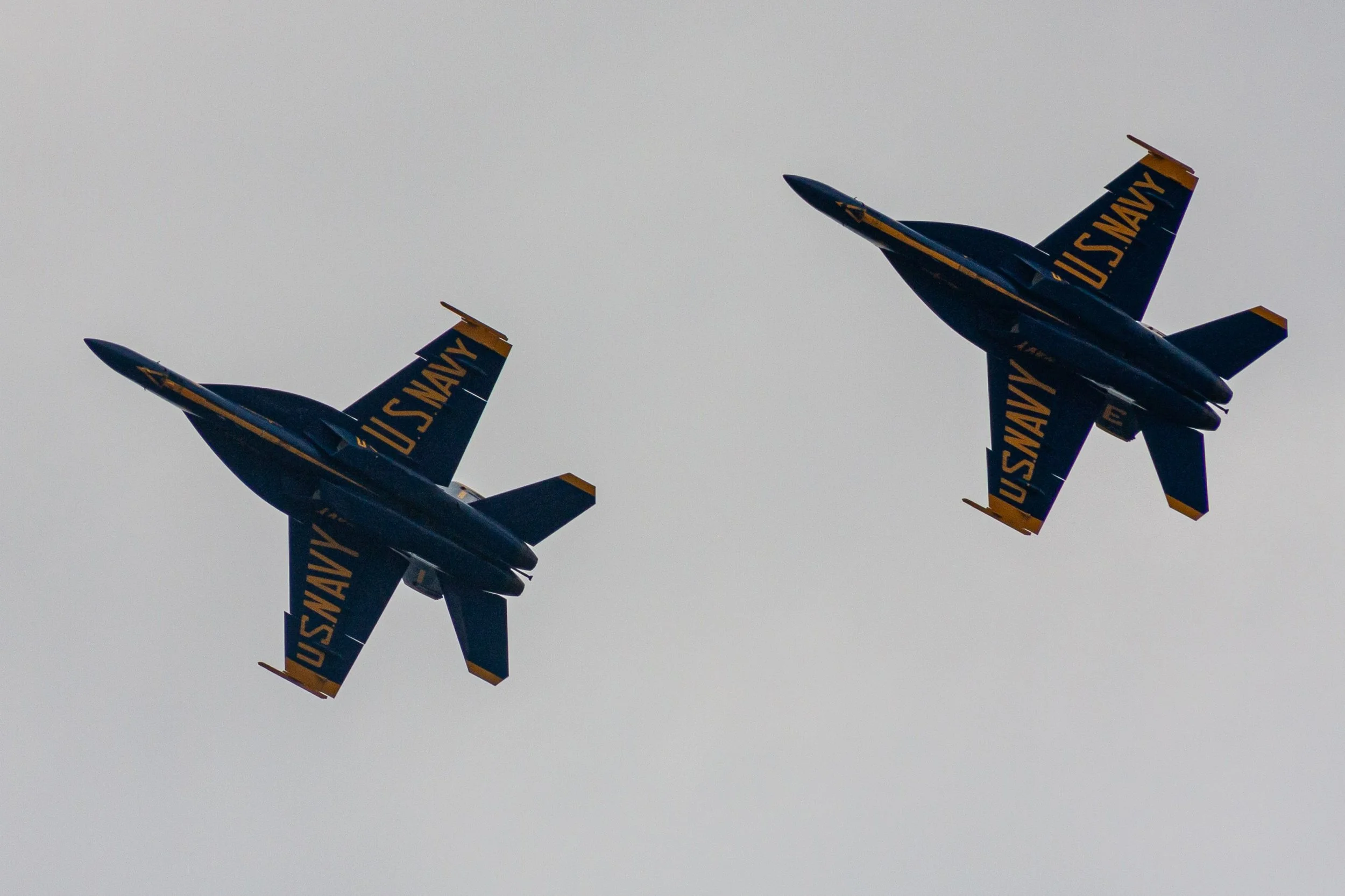 Two Blue Angels jets pass overhead against a pale sky.