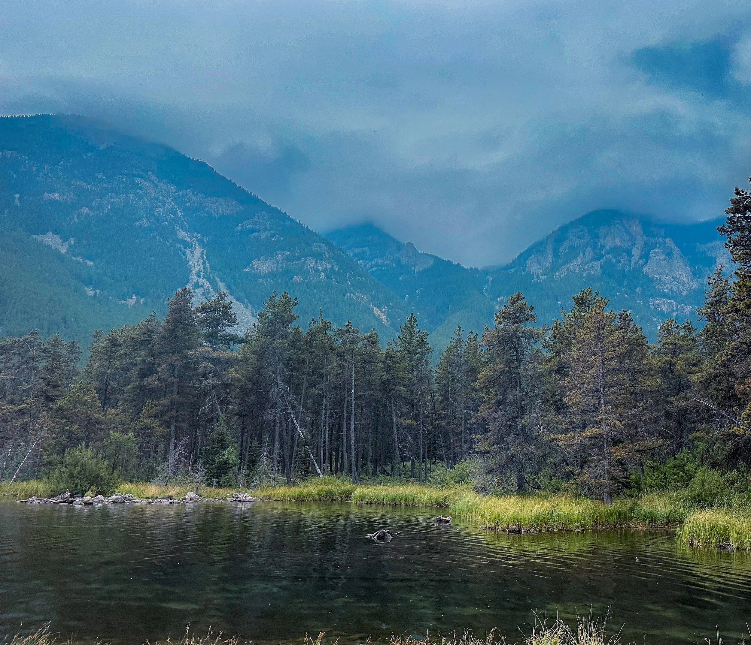 A mountain lake surrounded by forest and steep peaks.