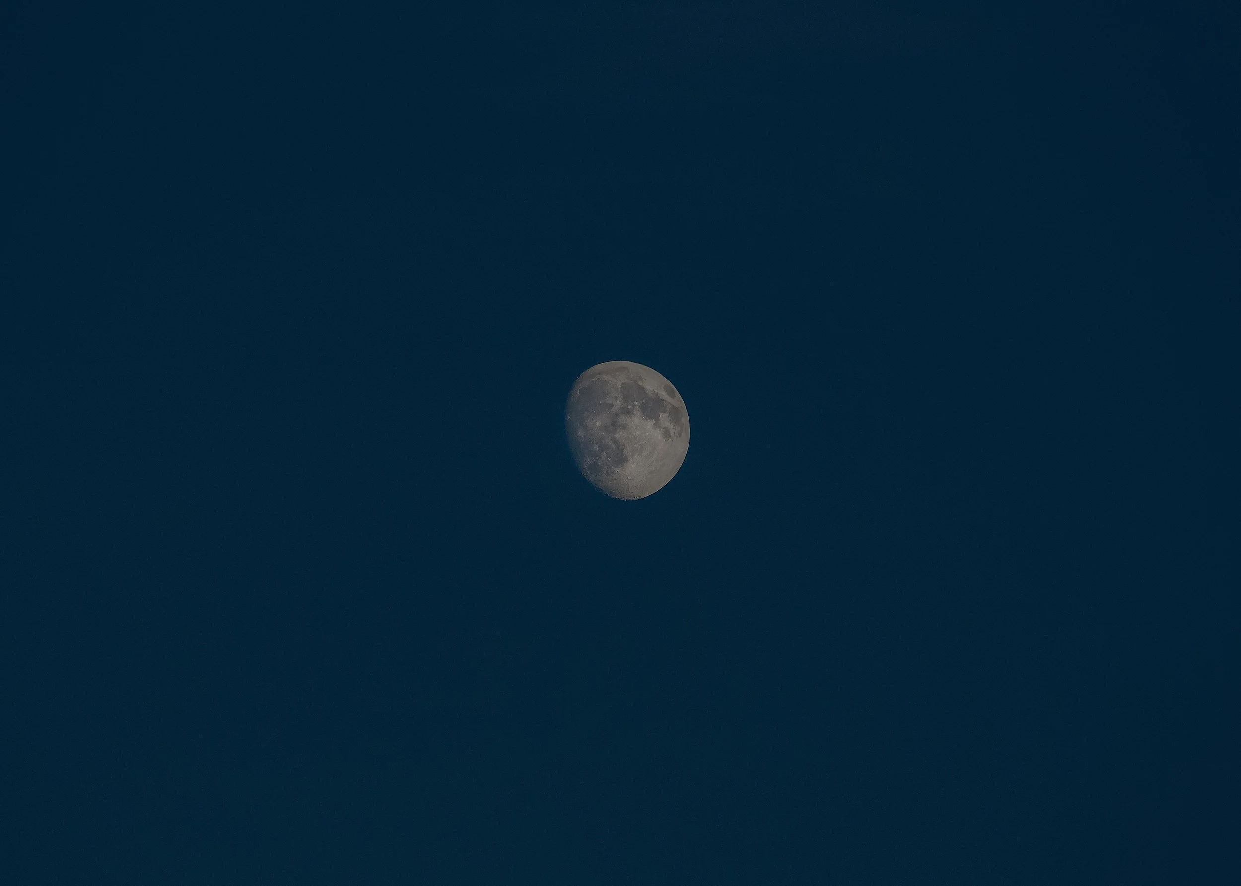 The moon hangs in a deep blue sky.