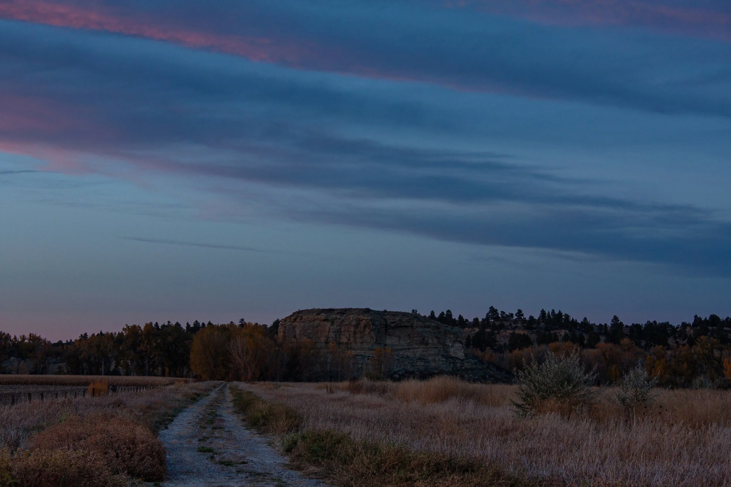 A pale country road leads toward low hills beneath blue-hour clouds.