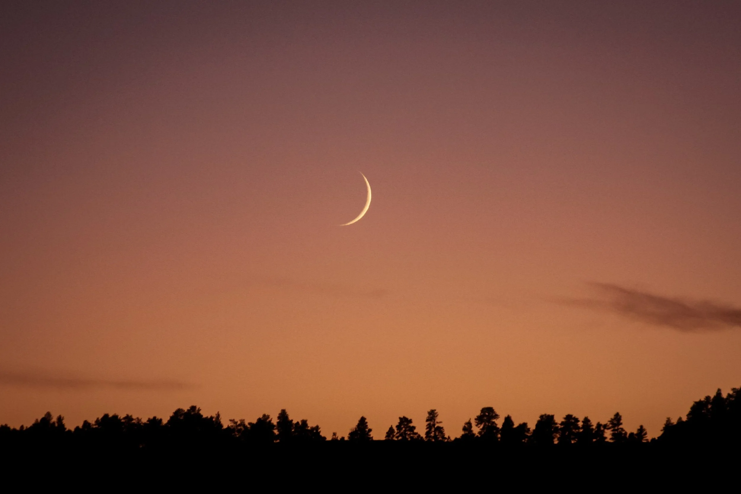A crescent moon glows in the dusk sky.