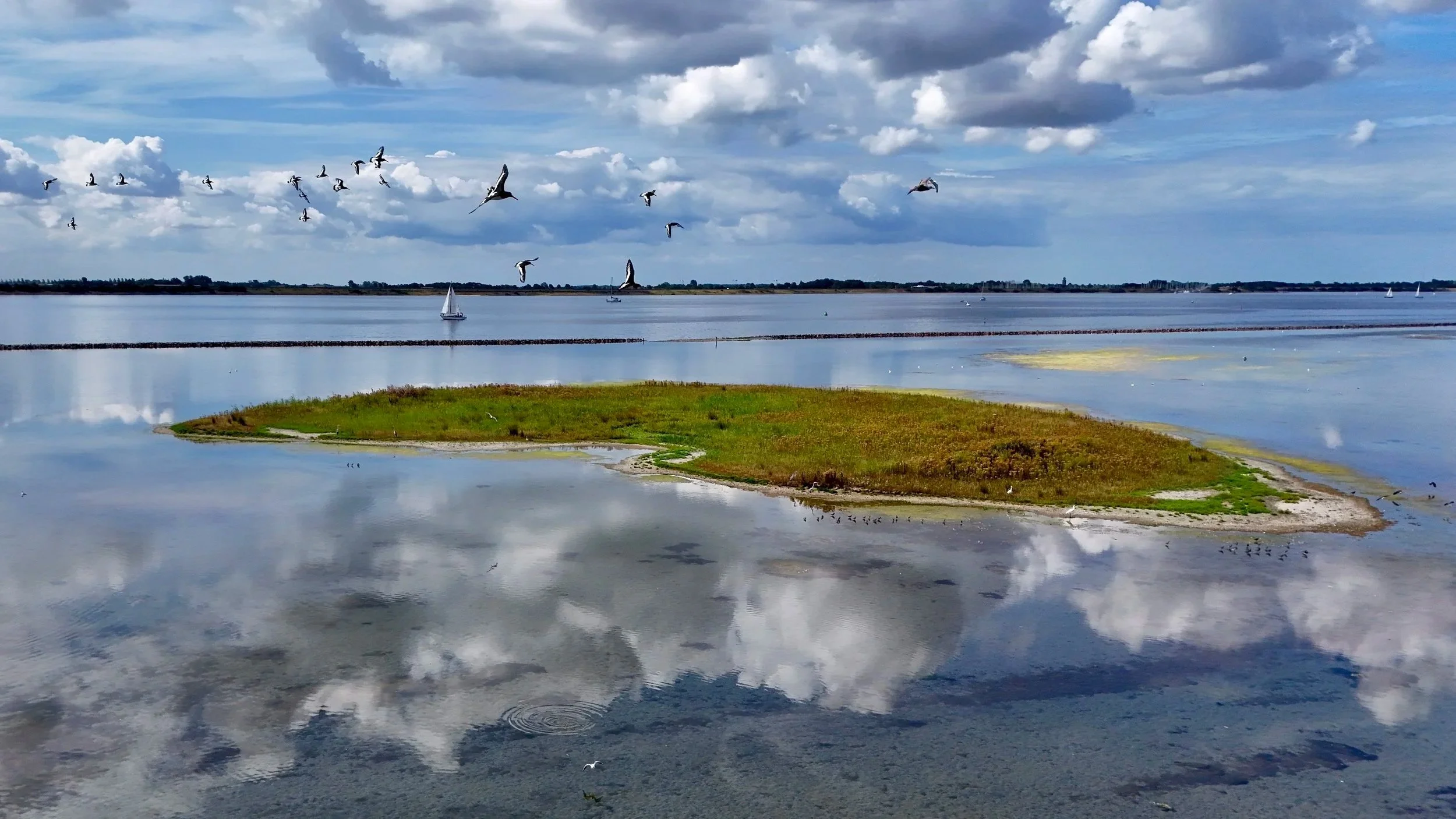 NETHERLANDS