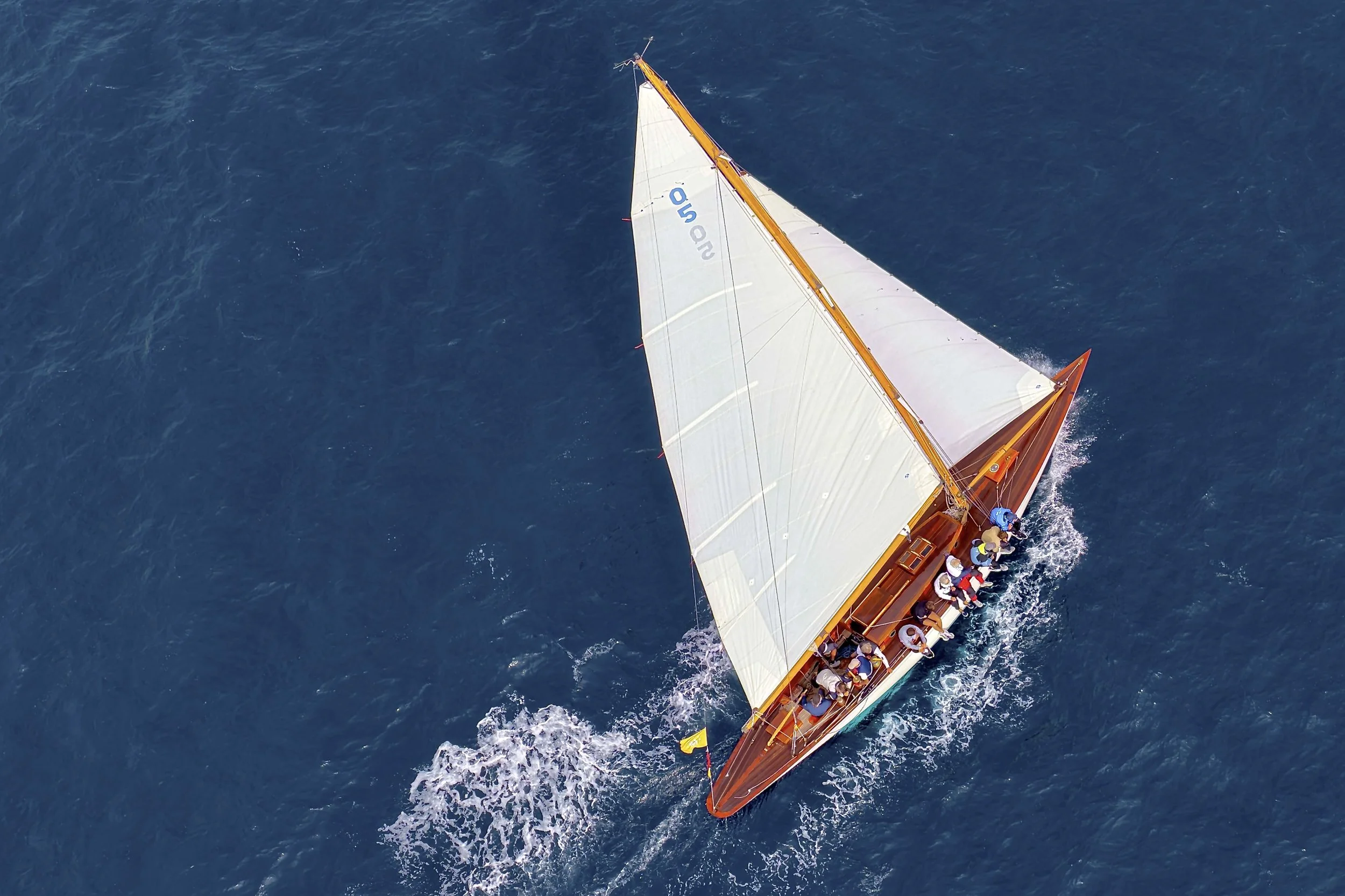 dji_fly_20261003_121922_0235_1791041051984_photo.jpg