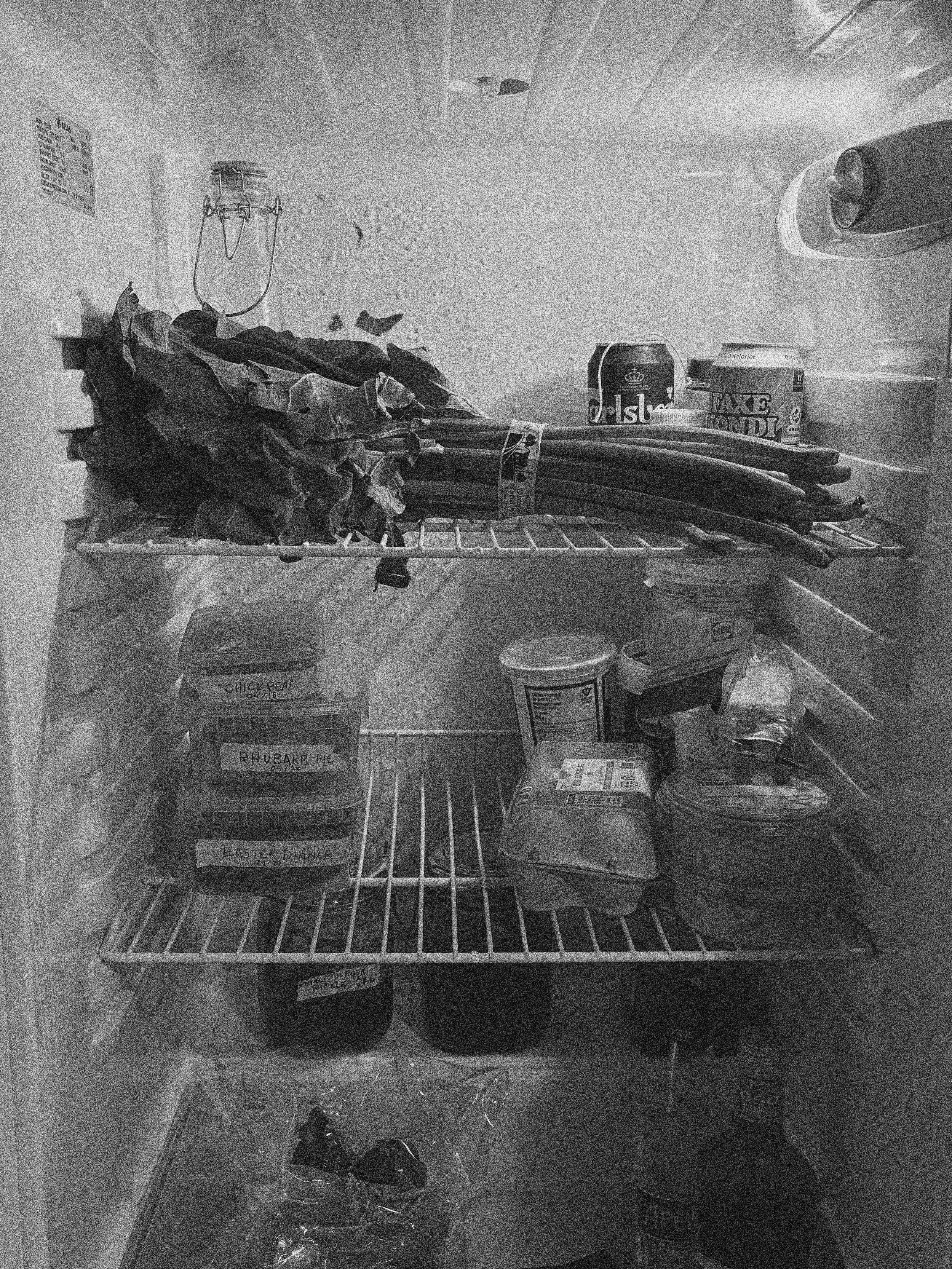 THE REFRIGERATOR ON EASTER WEEKEND IN COPENHAGEN, DENMARK