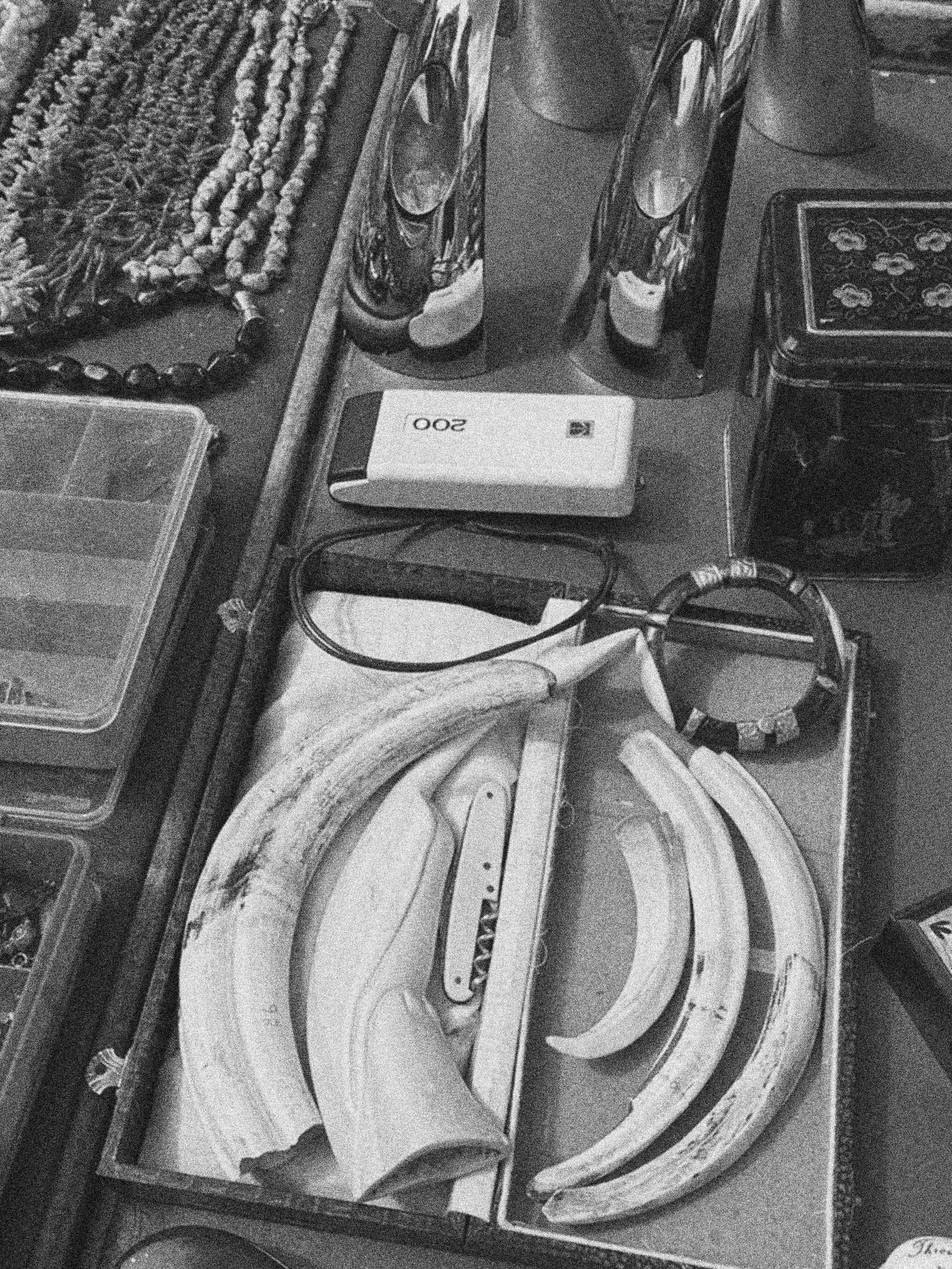 BONES AT THE SATURDAY FLEA MARKET IN COPENHAGEN, DENMARK