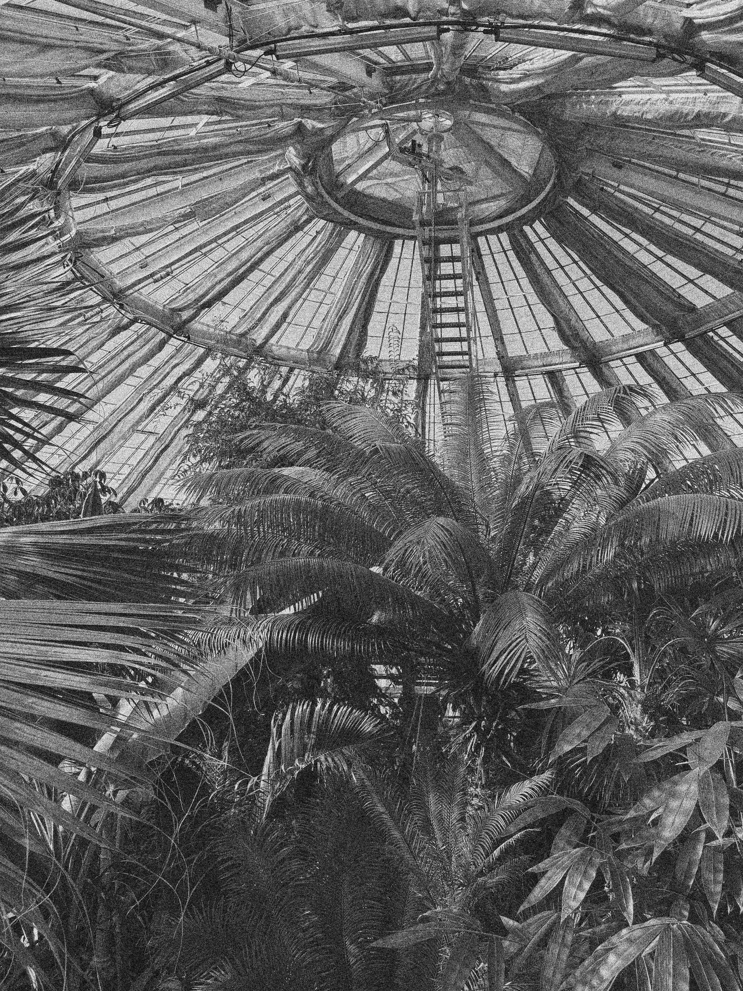 BOTANICAL GARDEN IN COPENHAGEN, DENMARK