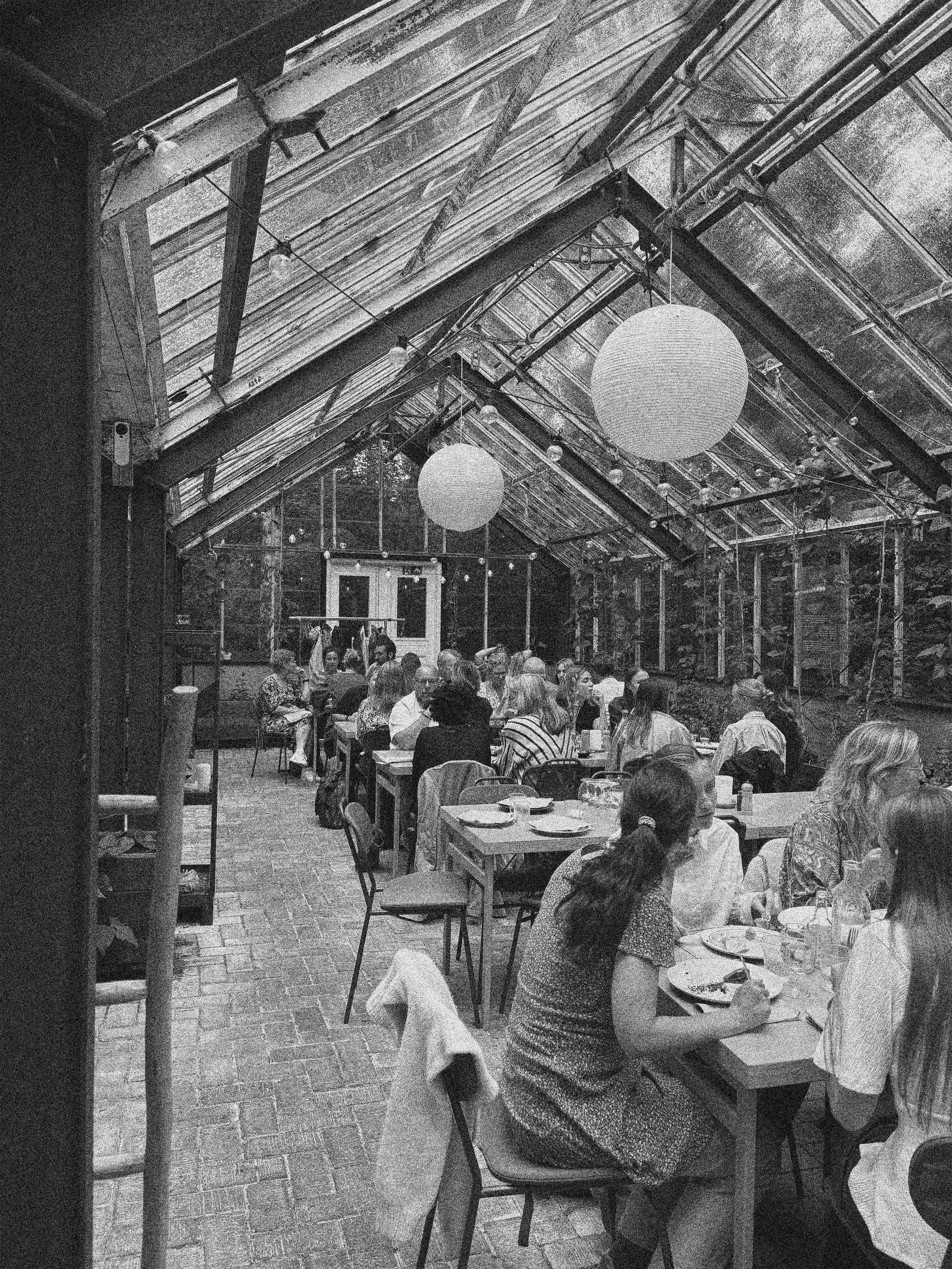 DINNER WITH A STRANGER IN A GREENHOUSE IN THE WOODS IN COPENHAGEN, DENMARK