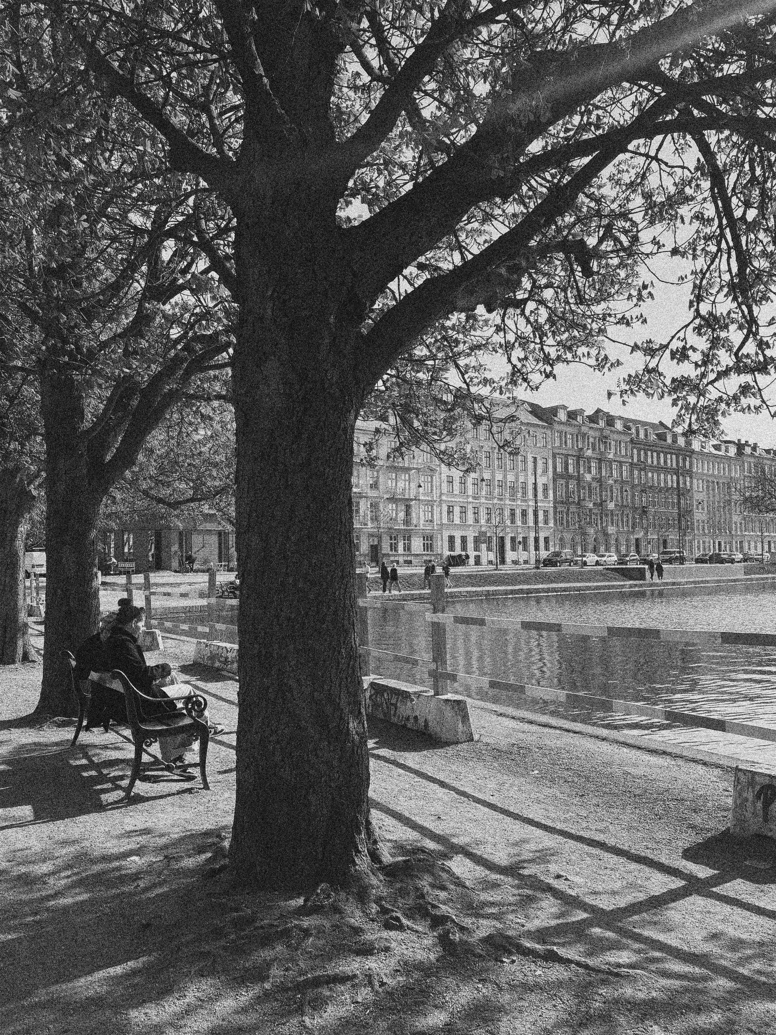 SPRINGTIME STROLL IN COPENHAGEN, DENMARK