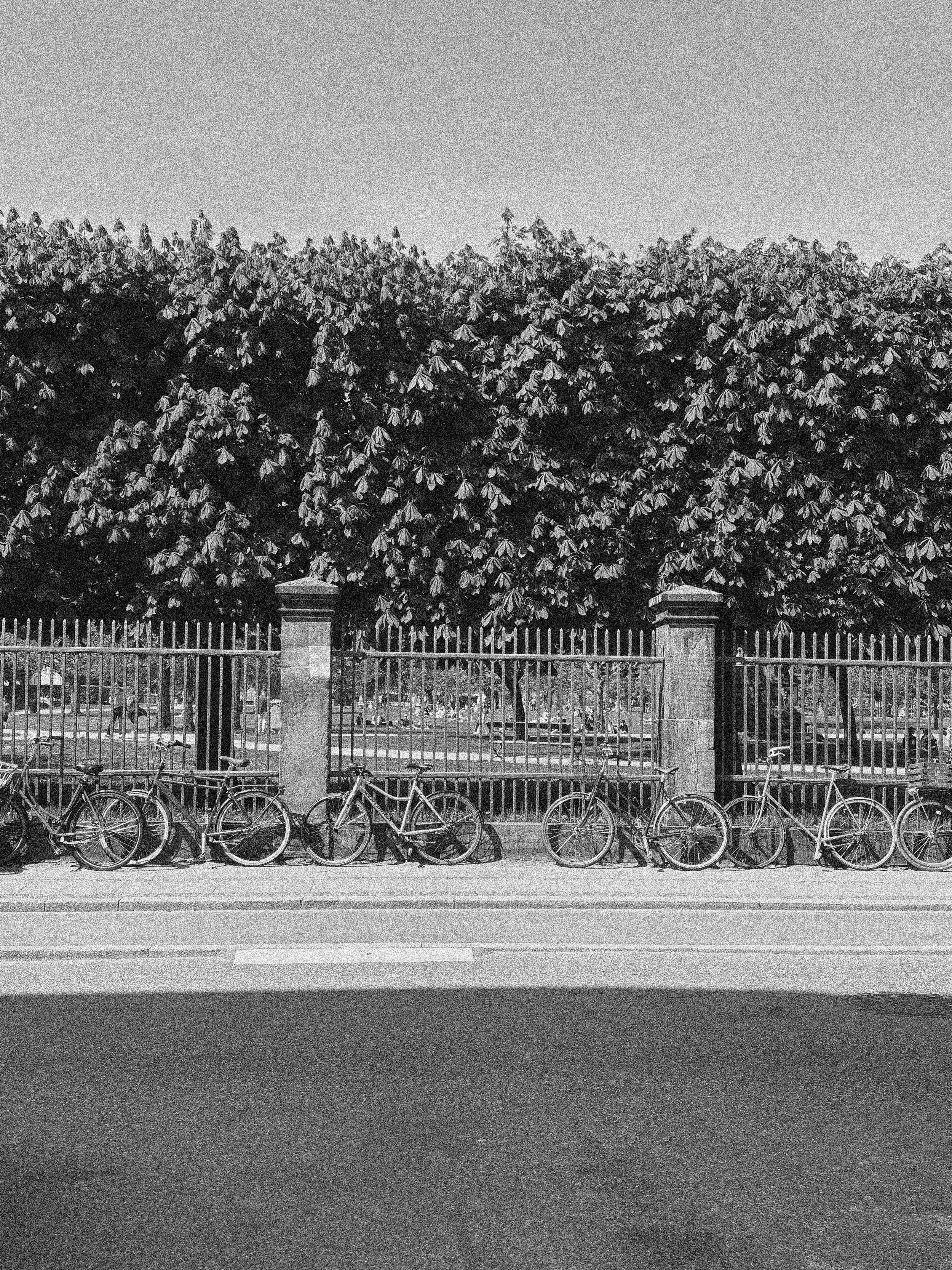 A ROW OF BIKES ON THE FENCE OF A GRADEN IN COPENHAGEN, DENMARK