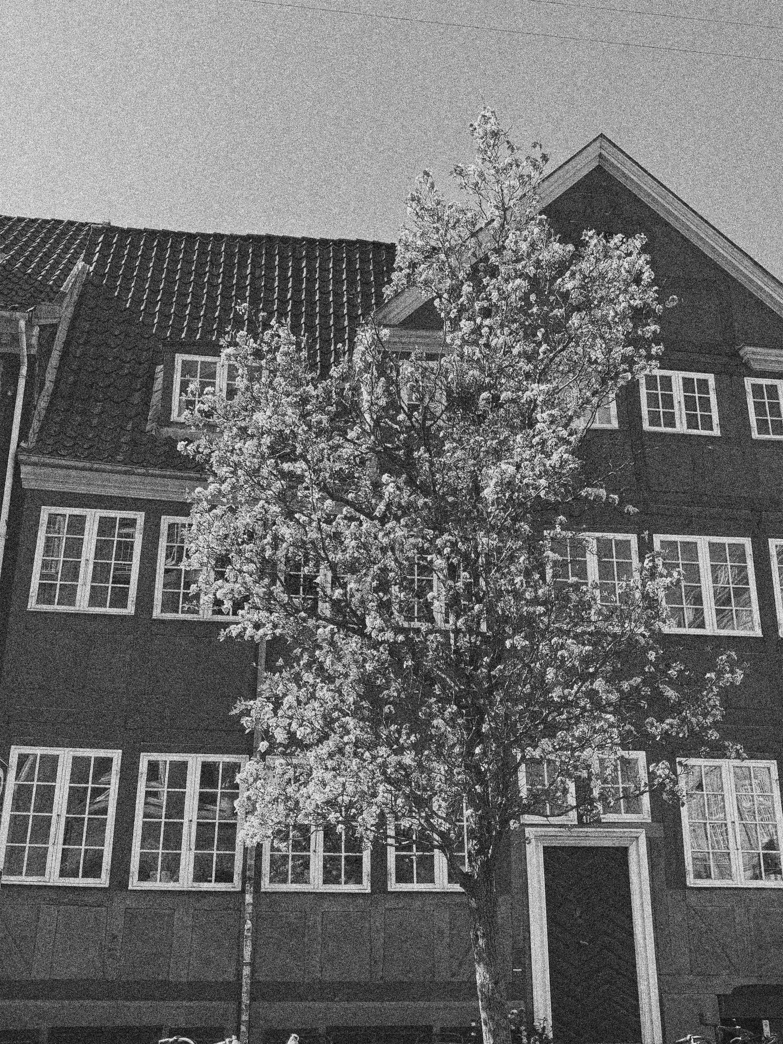 A HOUSE IN SPRING IN COPENHAGEN, DENMARK