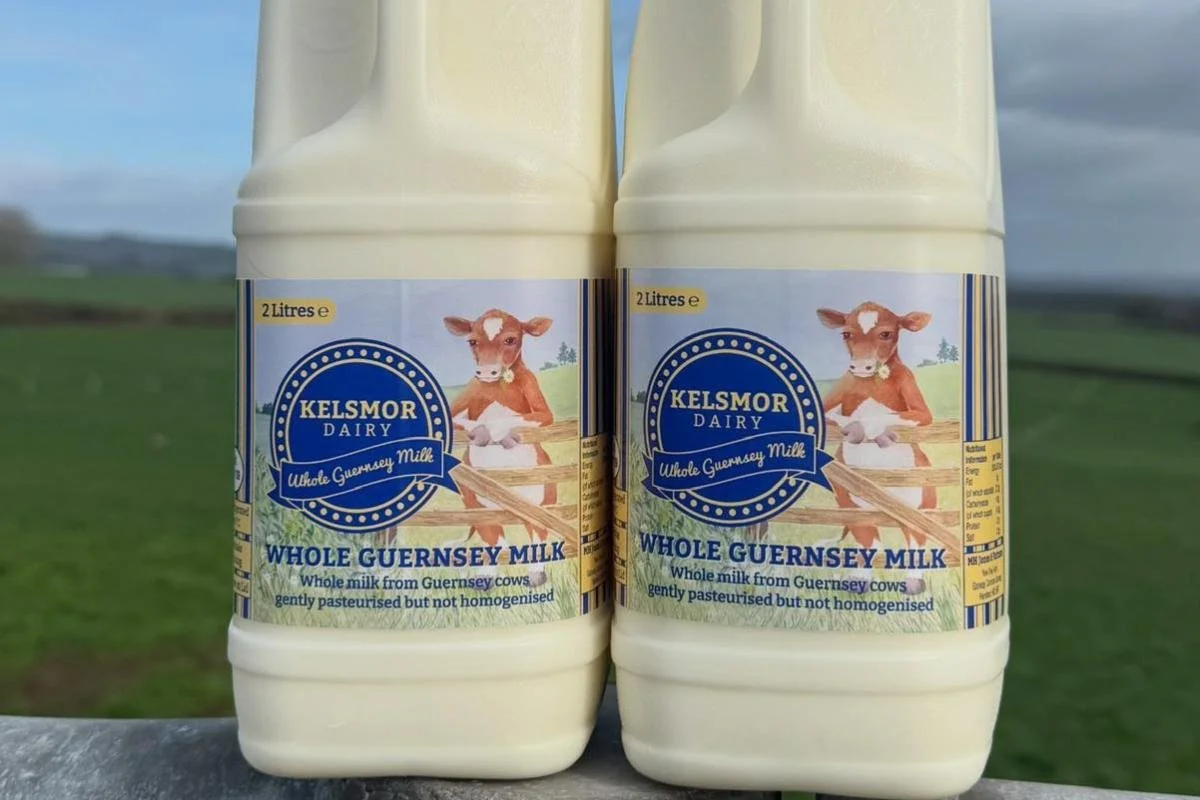Advert for Kelsmoor Dairy Tour
