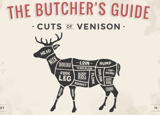 Advert for our butchery taster - a diagram of a deer showing different cuts of venison labeled on its body parts.