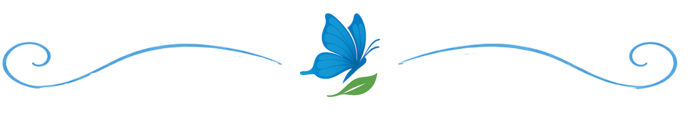 Une bannière décorative avec une marguerite centrale, une ligne bleue ondulée en haut et en bas, et une jolie papillon bleu au centre.