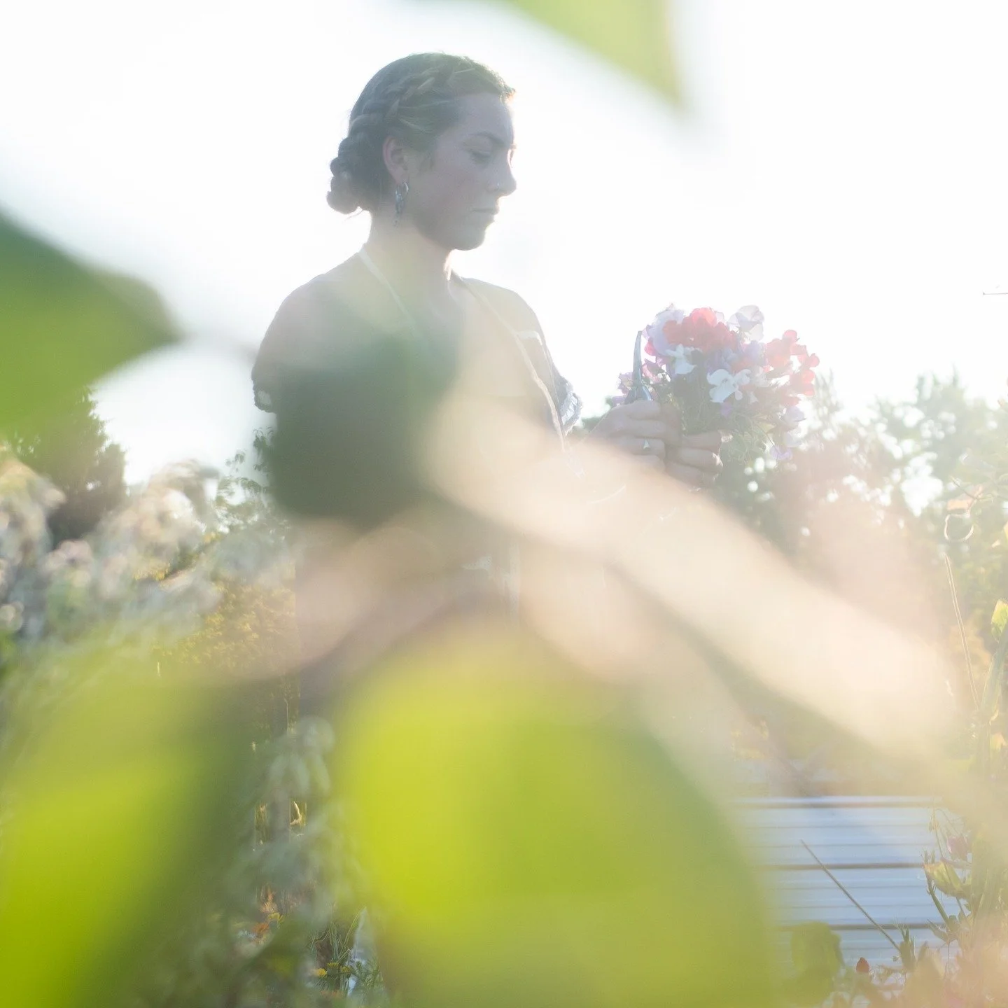 Sweetest sunset sweet pea harvest as sweet peas start to fade for the year. Thankyou @earthsenther for this loving session in the softening light. These photos reminded me how beautiful this petalled, fragrant life of mine is. 

See you @discovermont