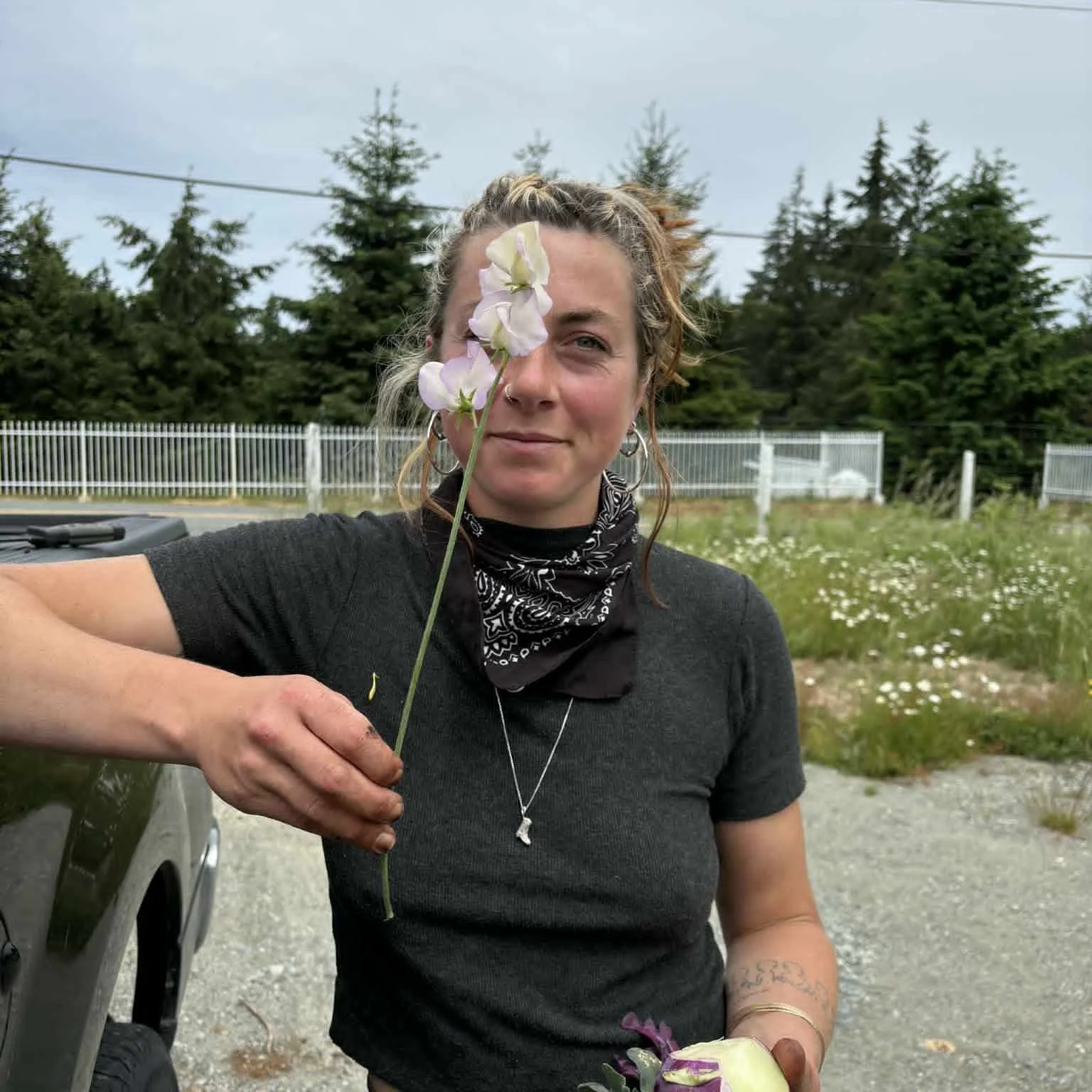 Two modes only. 

The first sweet peas have made a grand entrance into 2026! The longest stems I have ever grown, largest flowers, and a divine aroma as always. 

This week I am tucking thousands more seedlings into the rows at both @eatwell.farm and