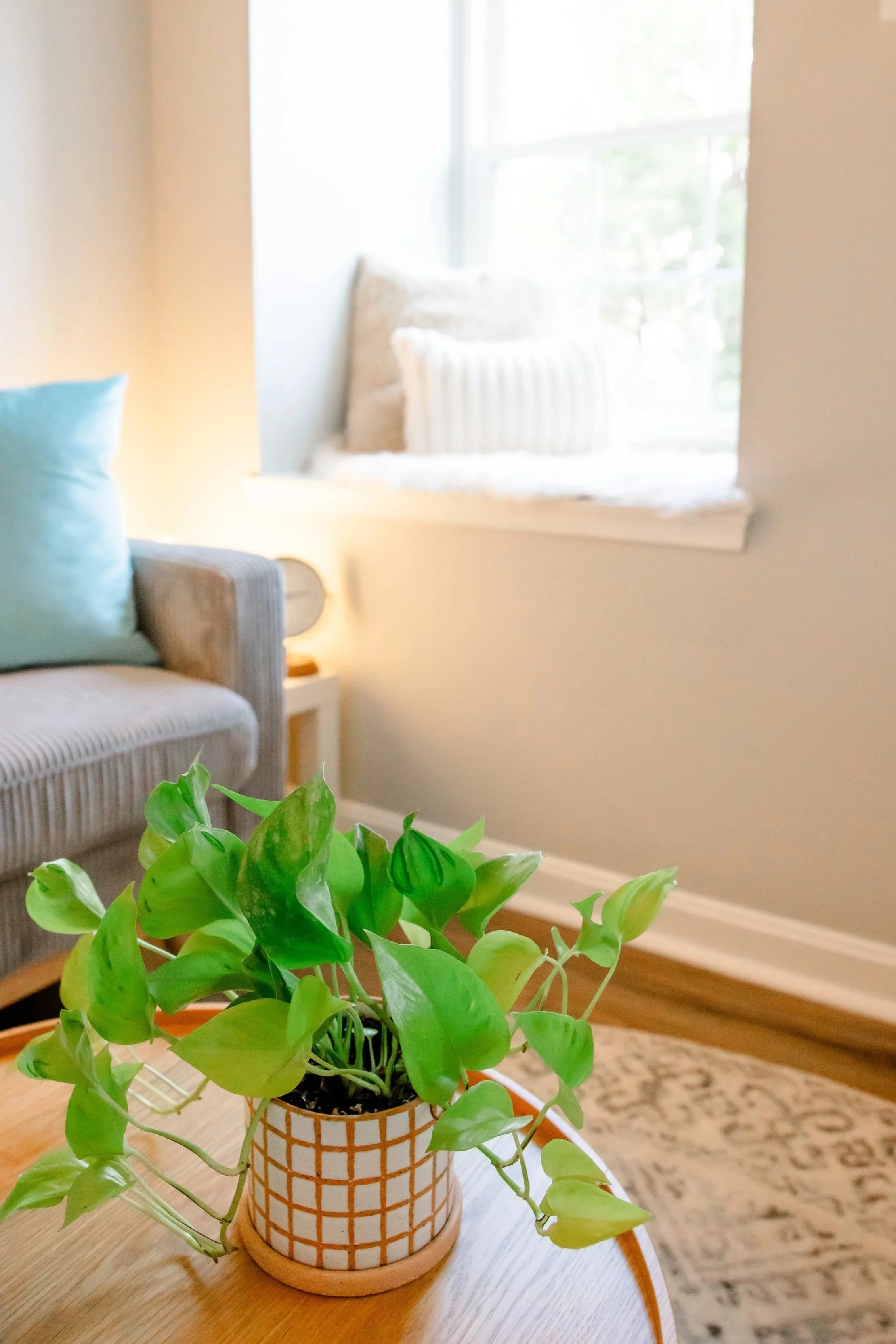 Calming art therapy and counseling office at Grove Therapy Collective, Northern Virginia