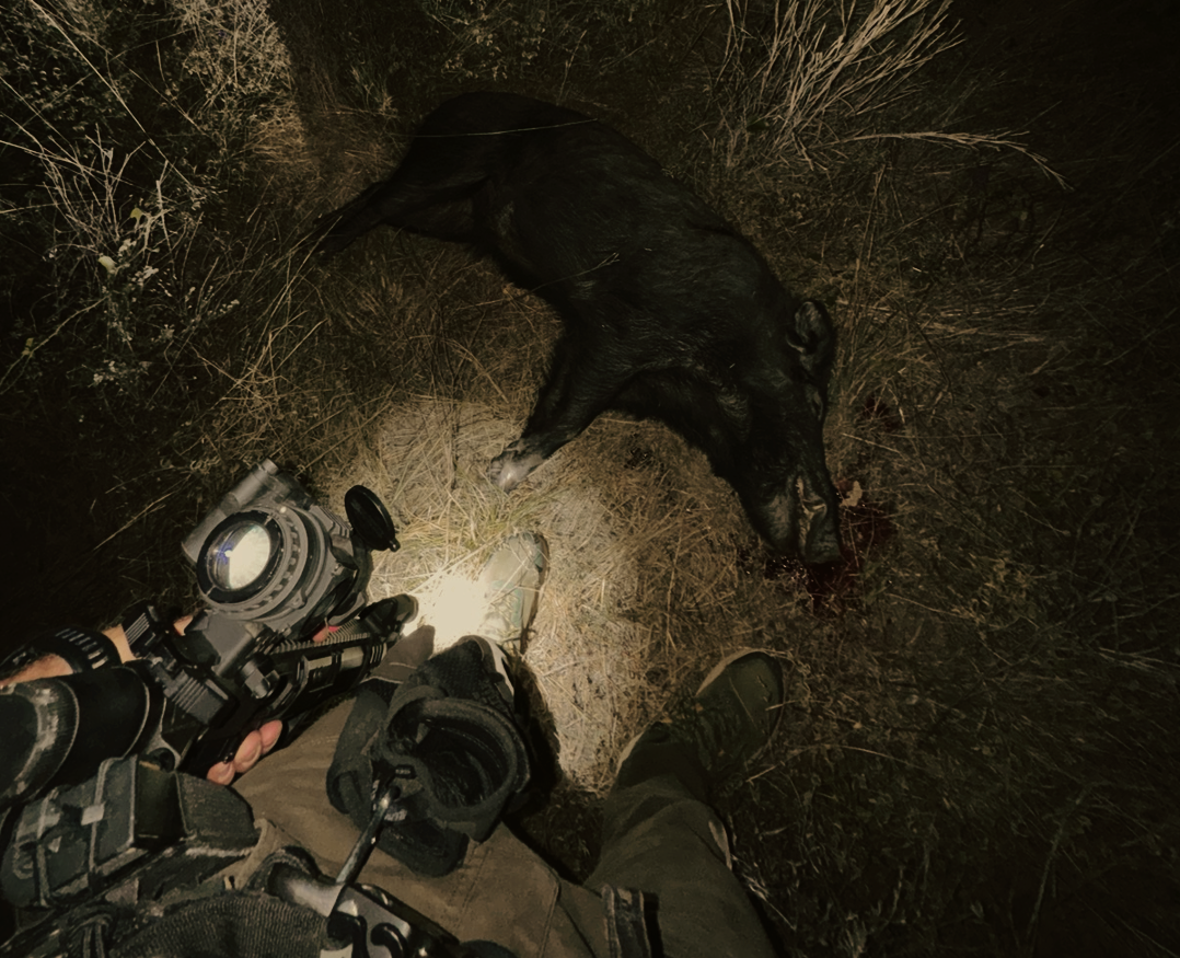 Screenshot 2026-02-17 173155.png