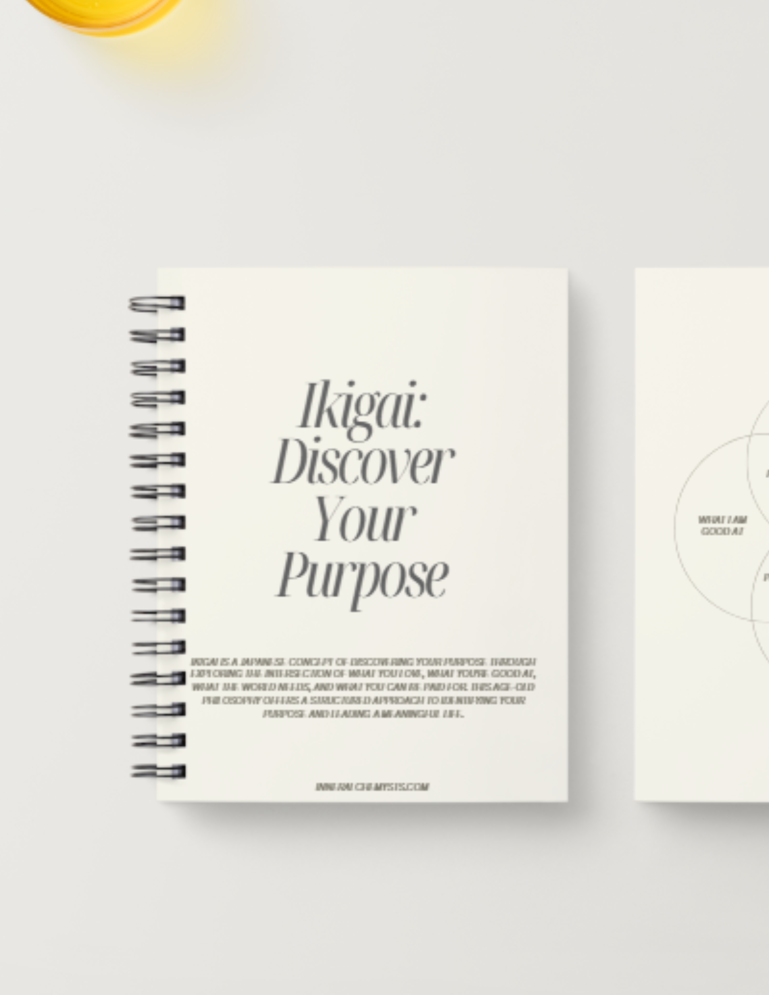 Ikigai Worksheet - Minimalist Design