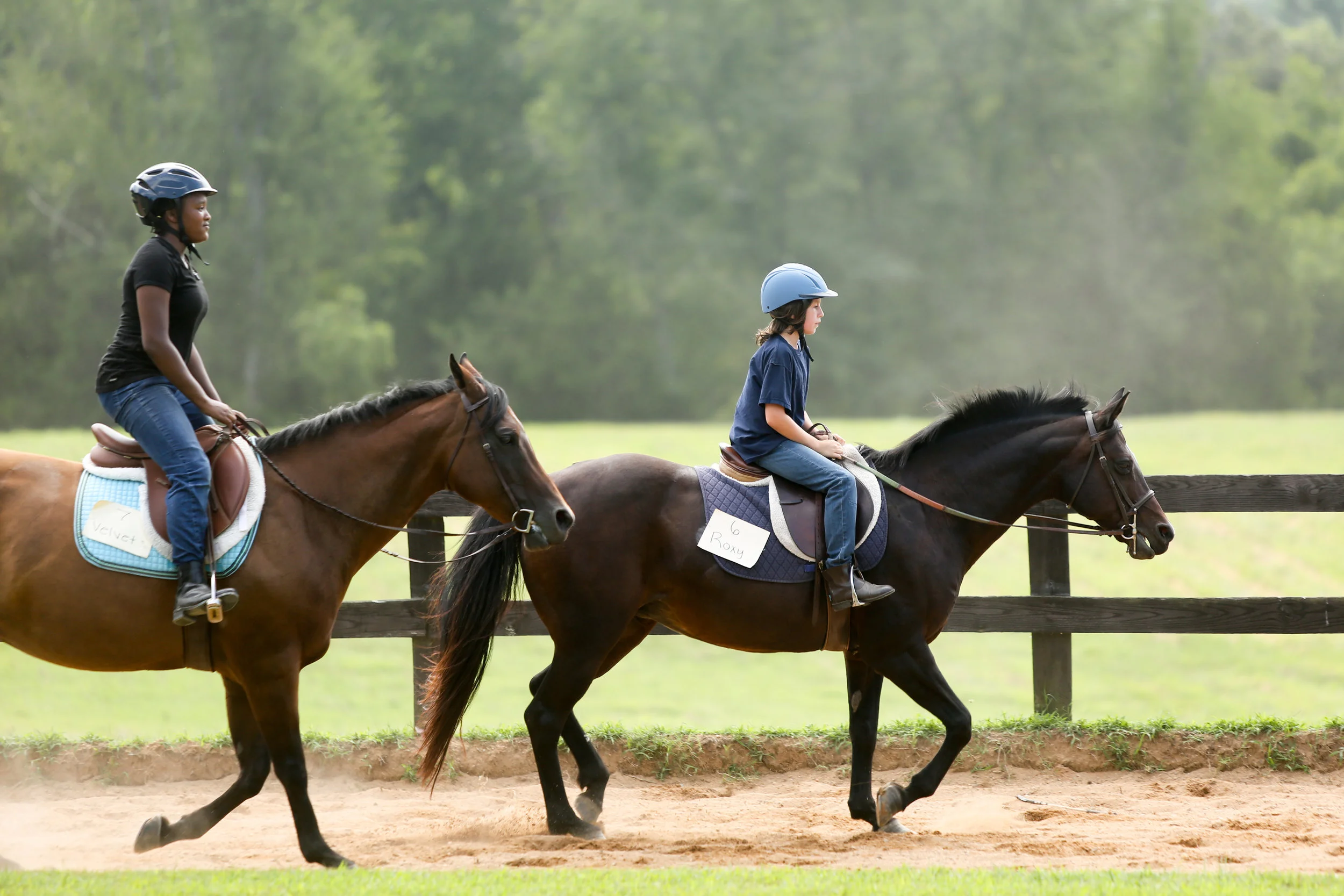 At Oakland School camp, children can learn how to horseback ride.