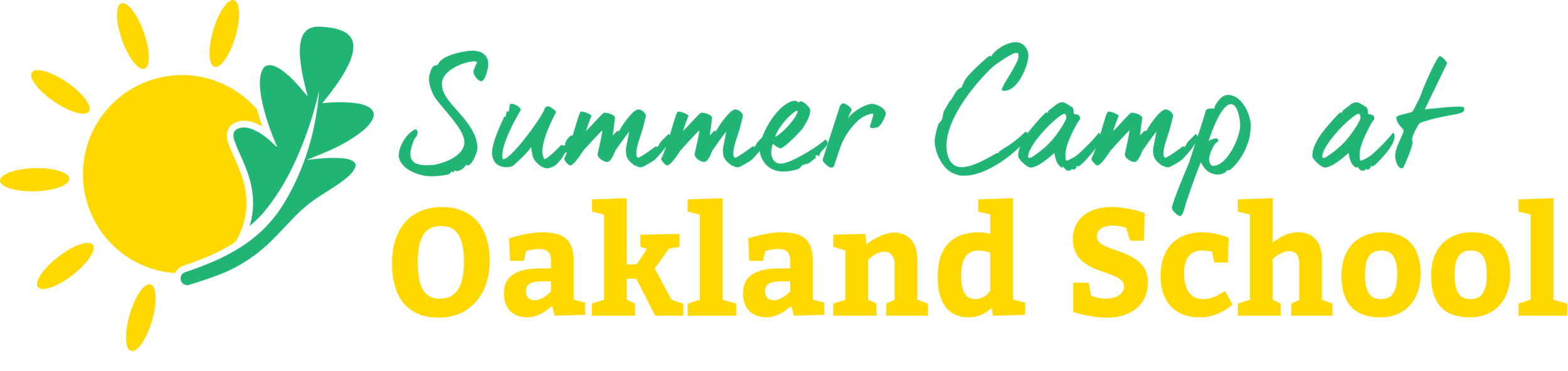 Summer Camp at Oakland School