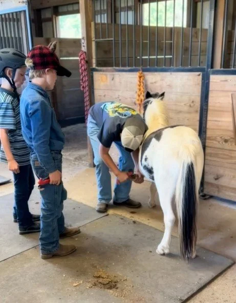 Oakland Students caring for horse