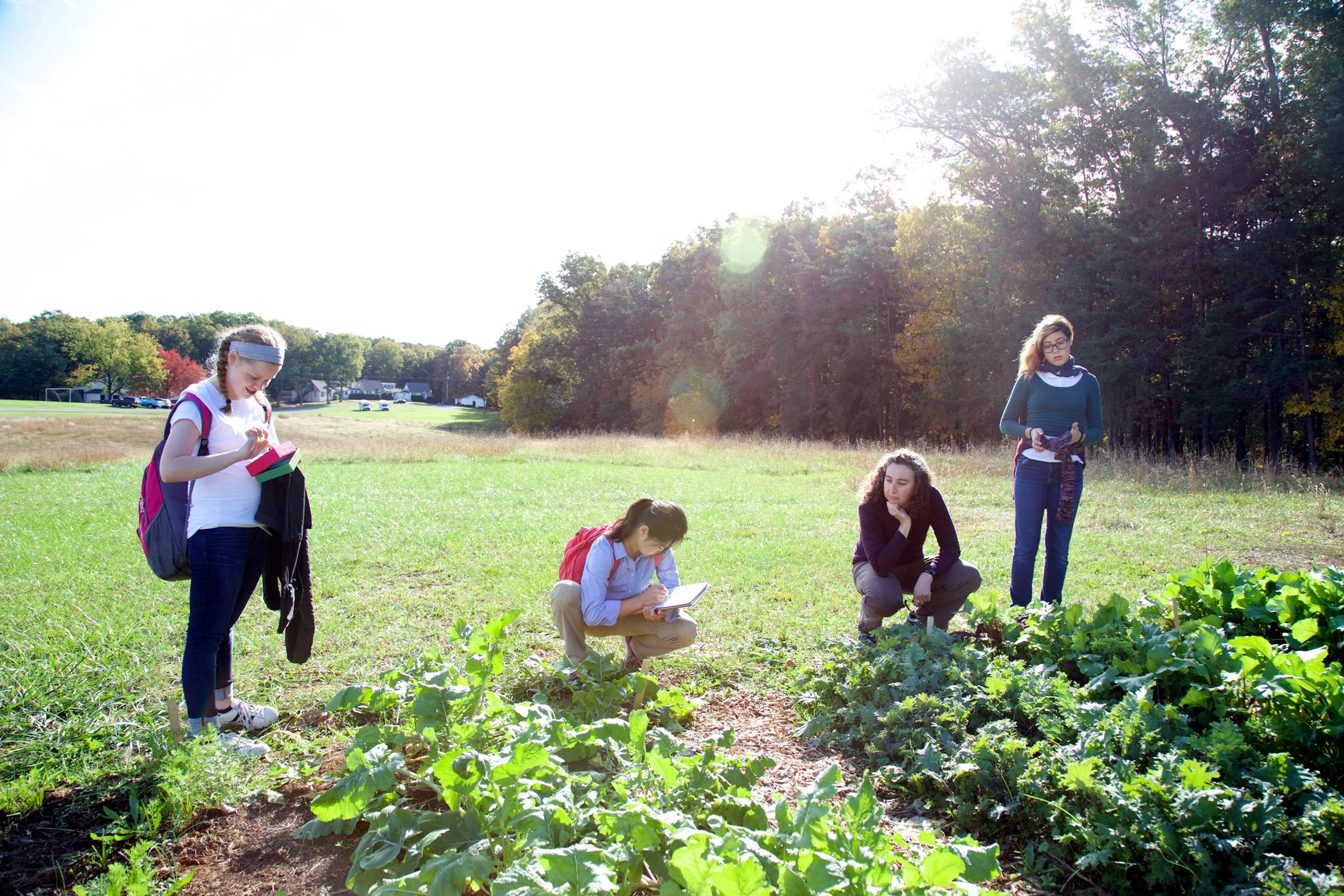 Oakland Students looking at plants in garden