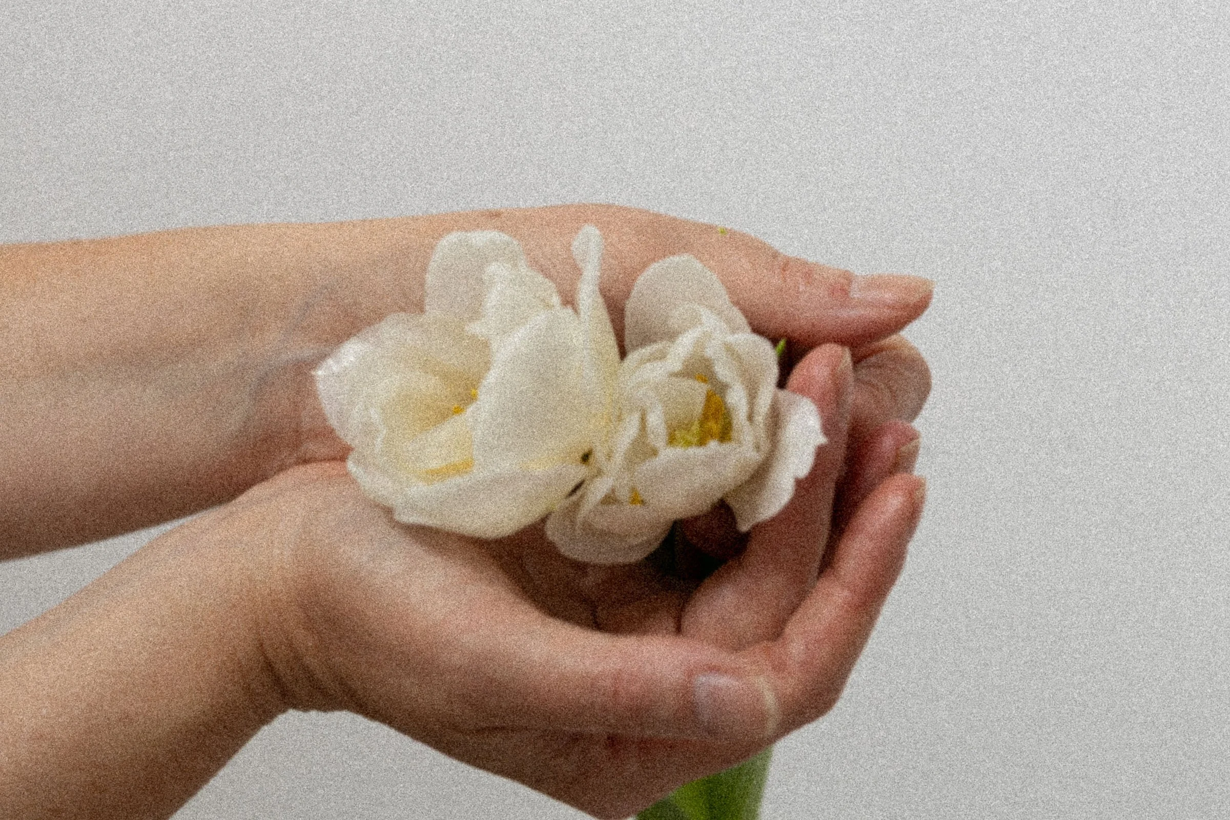 CARTE CADEAU  LESPRIT