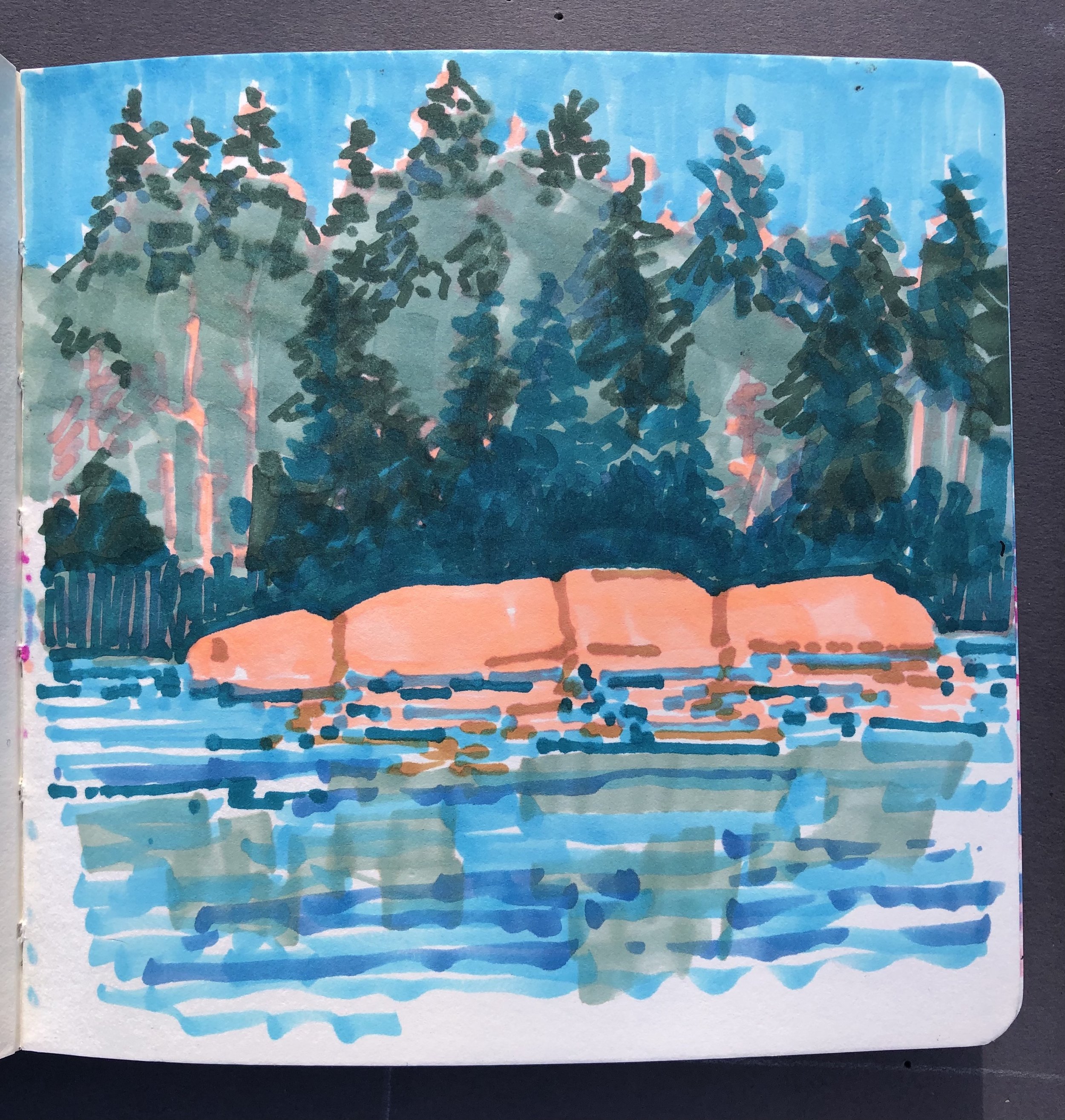 Waterfront landscape with a small orange boat docked along the shore, tall green trees in the background, and water with reflections in the foreground.