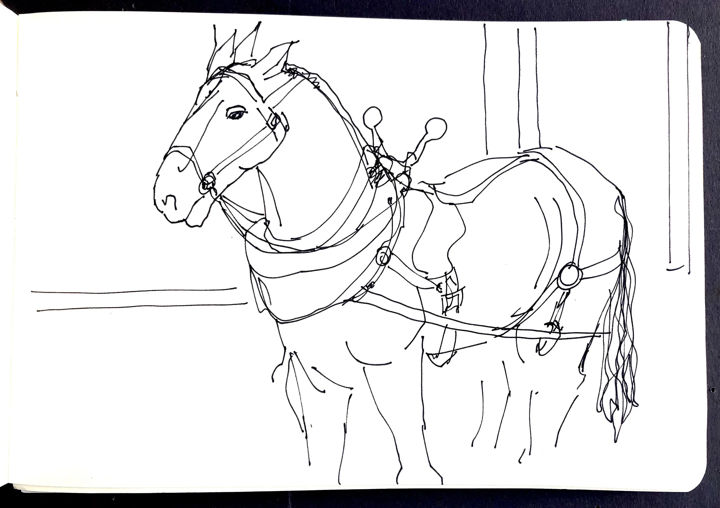 Line drawing of a horse with a harness and bridle, standing indoors next to a wall.