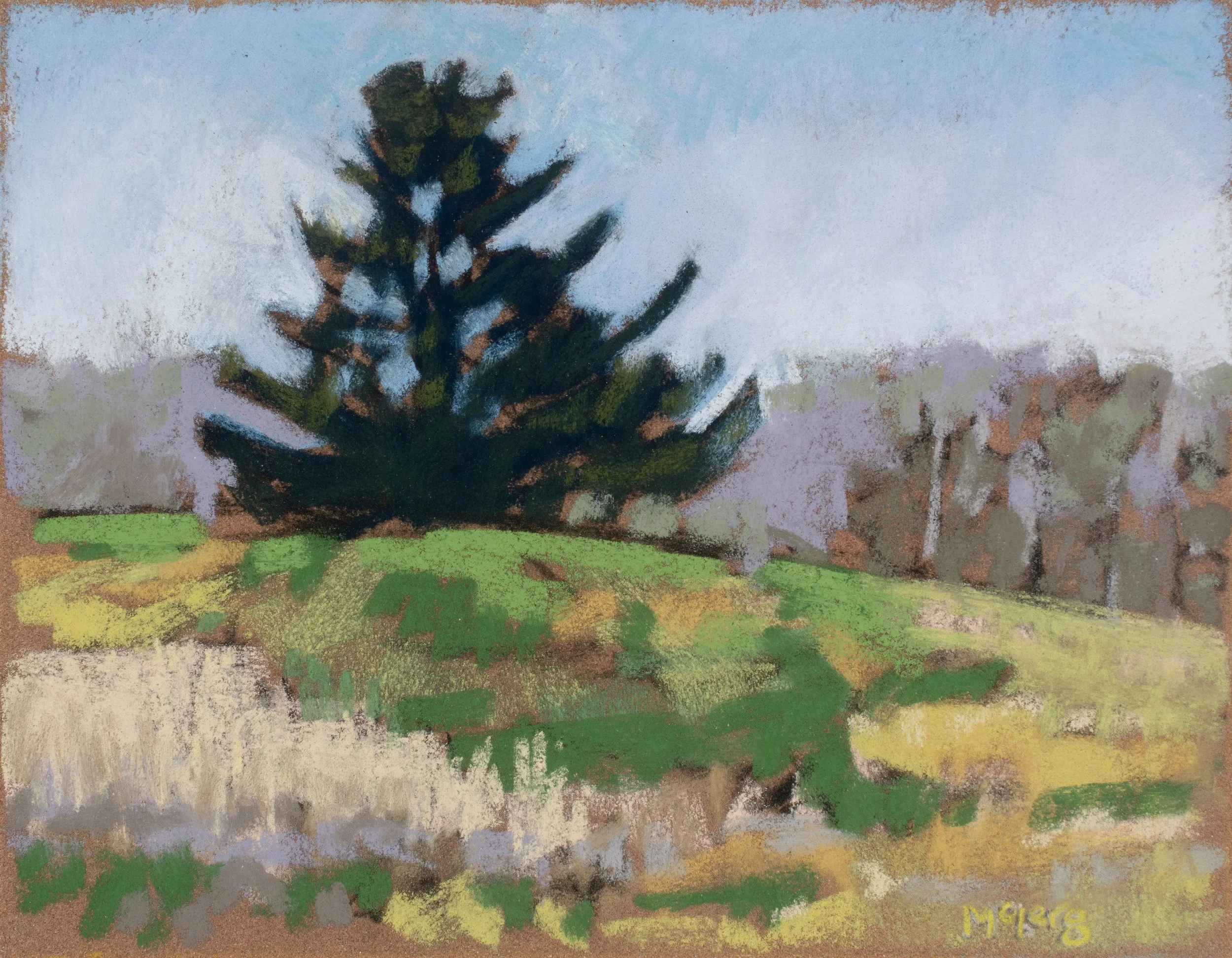 Meadow Pine, Pastel, 7 x 9”