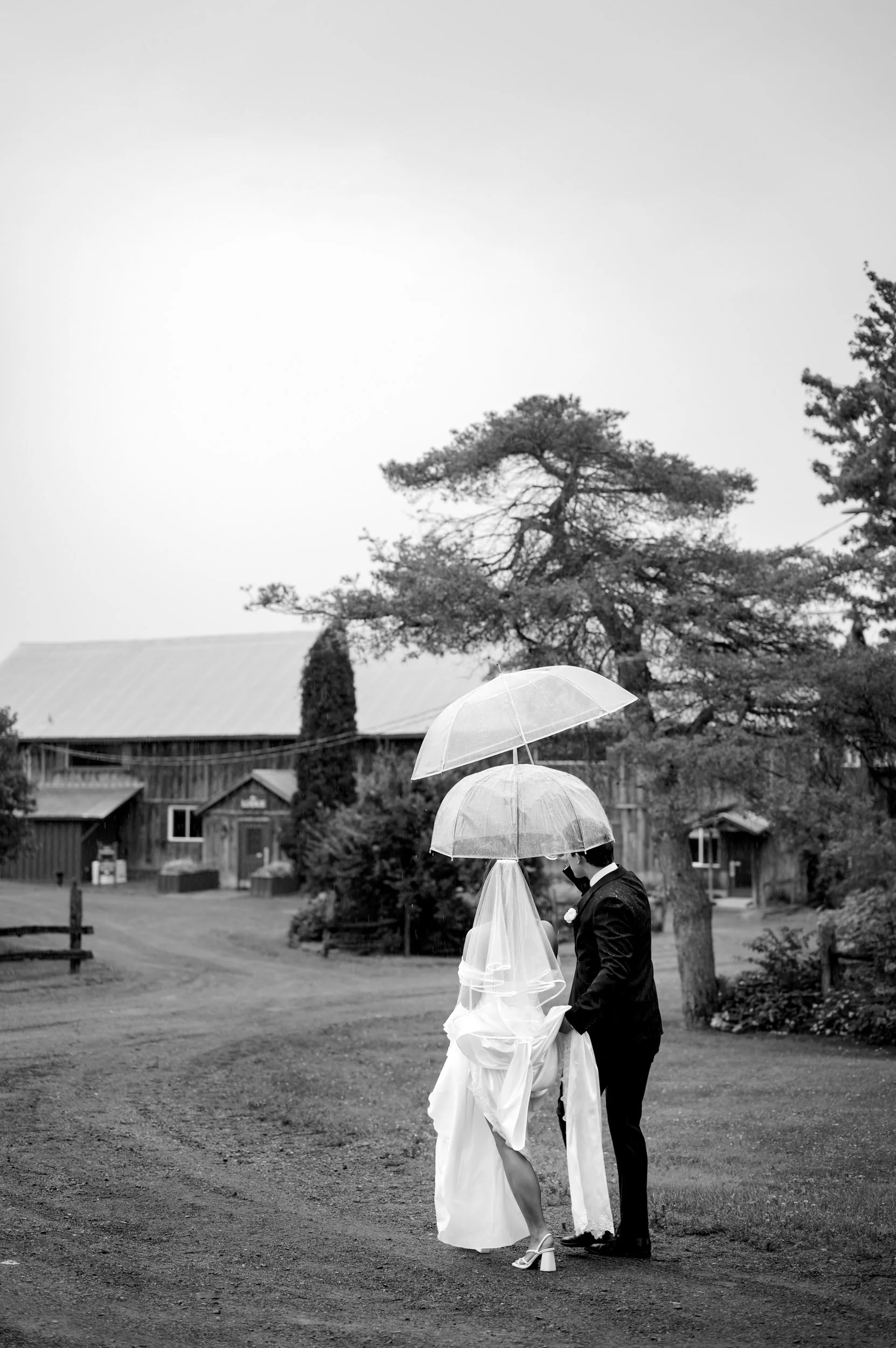 2024-06-22 wedding Karina and Daniel-251.jpg