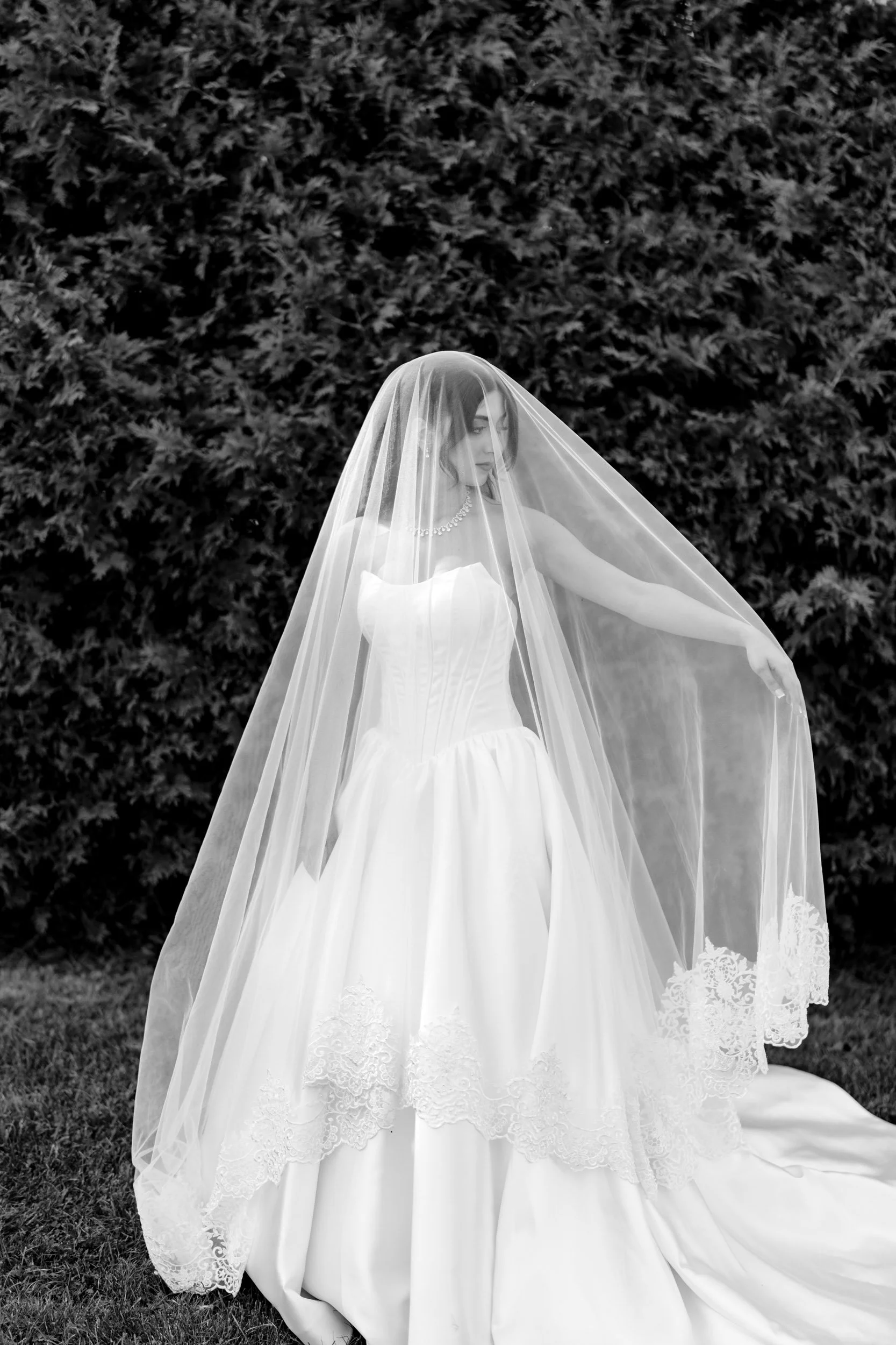 2025-07-18 Blu Legacy wedding Shirin and Majd-487.jpg