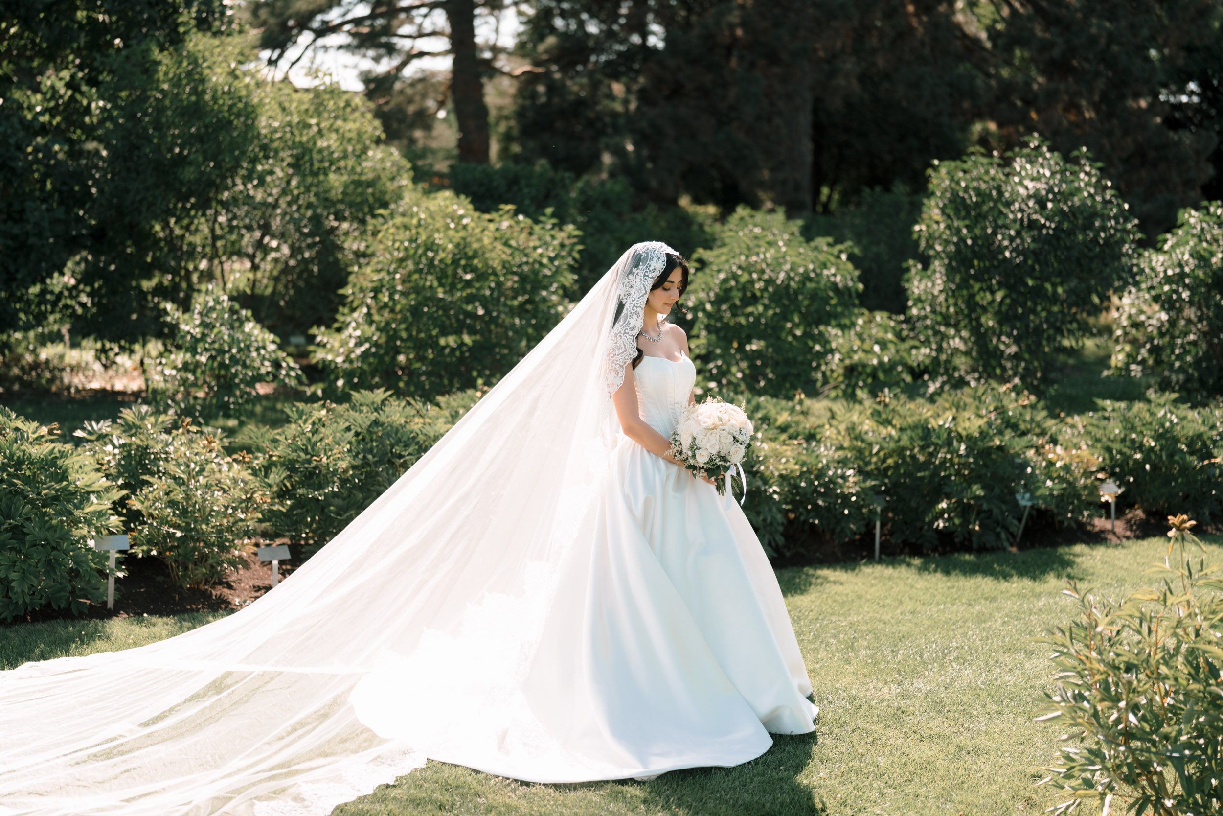 2025-07-18 Blu Legacy wedding Shirin and Majd-317.jpg