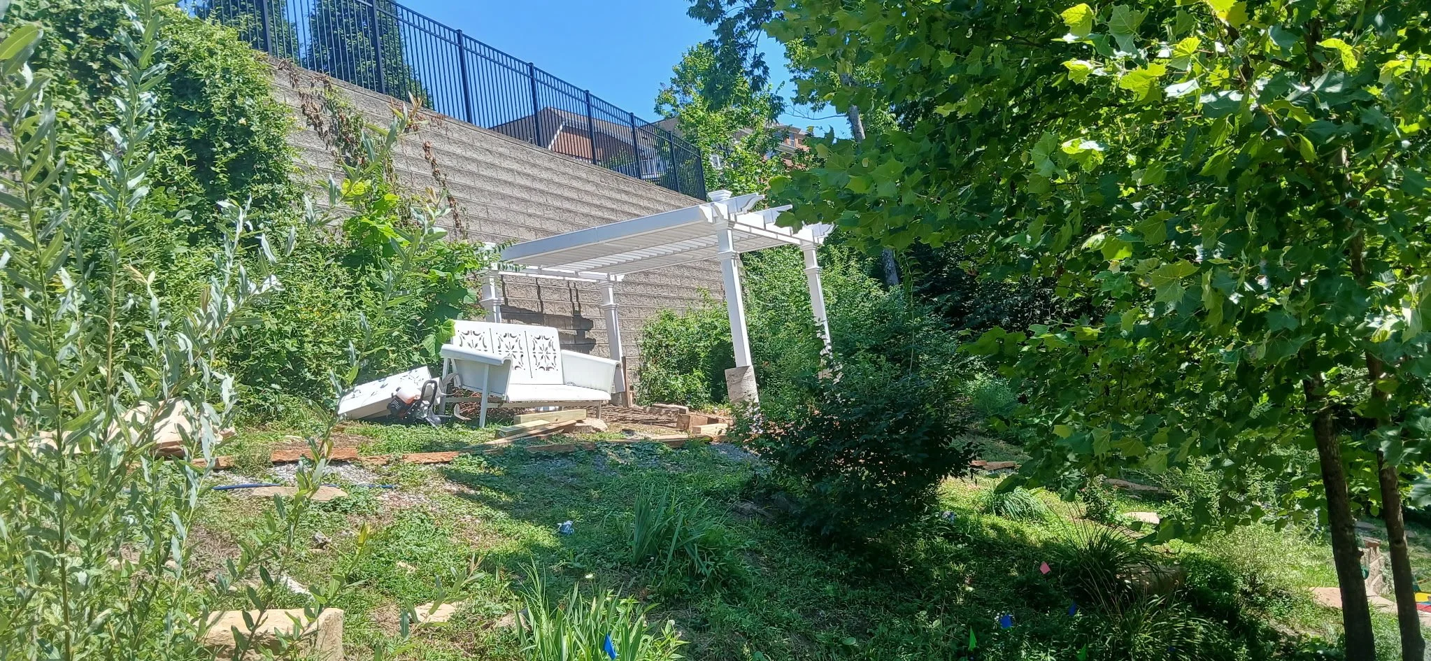 A backyard garden with a white wooden bench under a white pergola, surrounded by green trees and plants, with a stone wall and a black fence at the top.