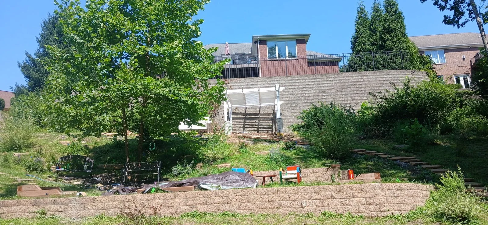 Backyard garden with trees, plants, small benches, a retaining wall, and a house on a hill in the background under a clear blue sky.