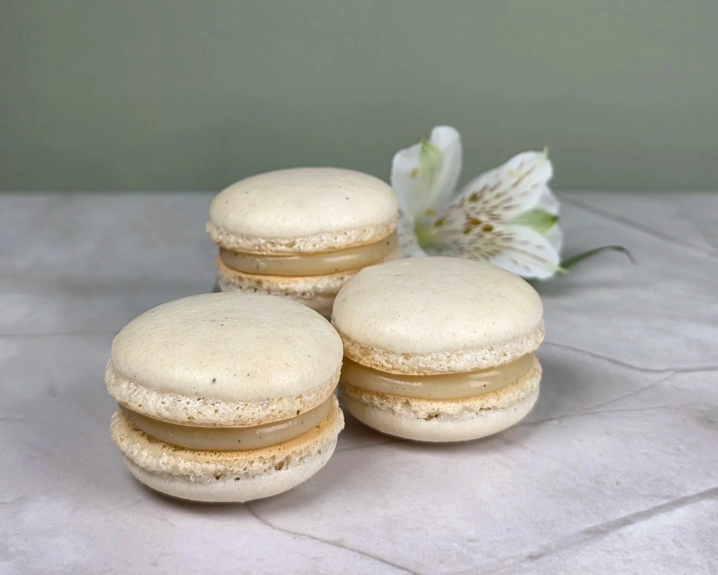 odette-vanilla-bean-macarons.jpg