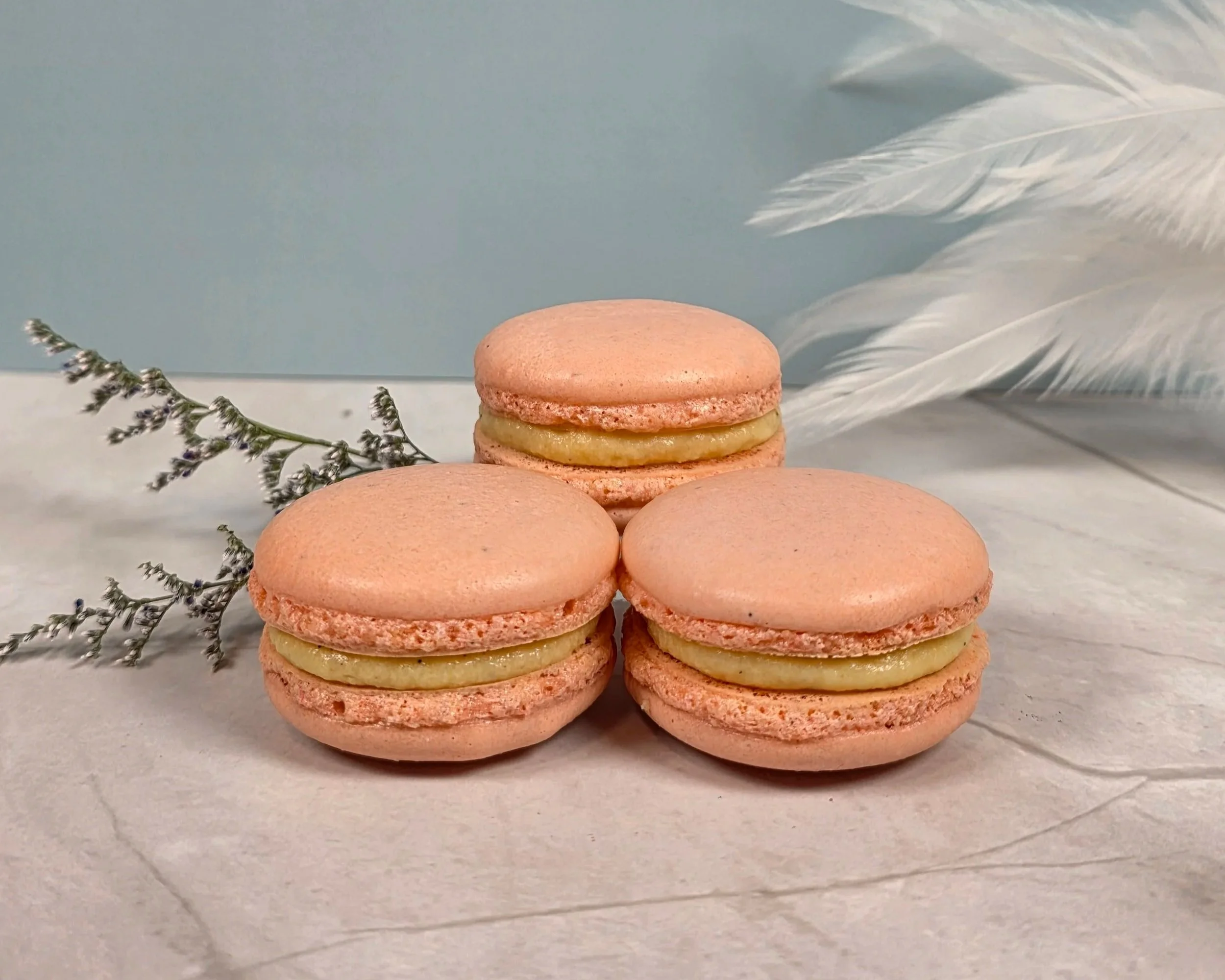 passion-fruit-macarons.jpg