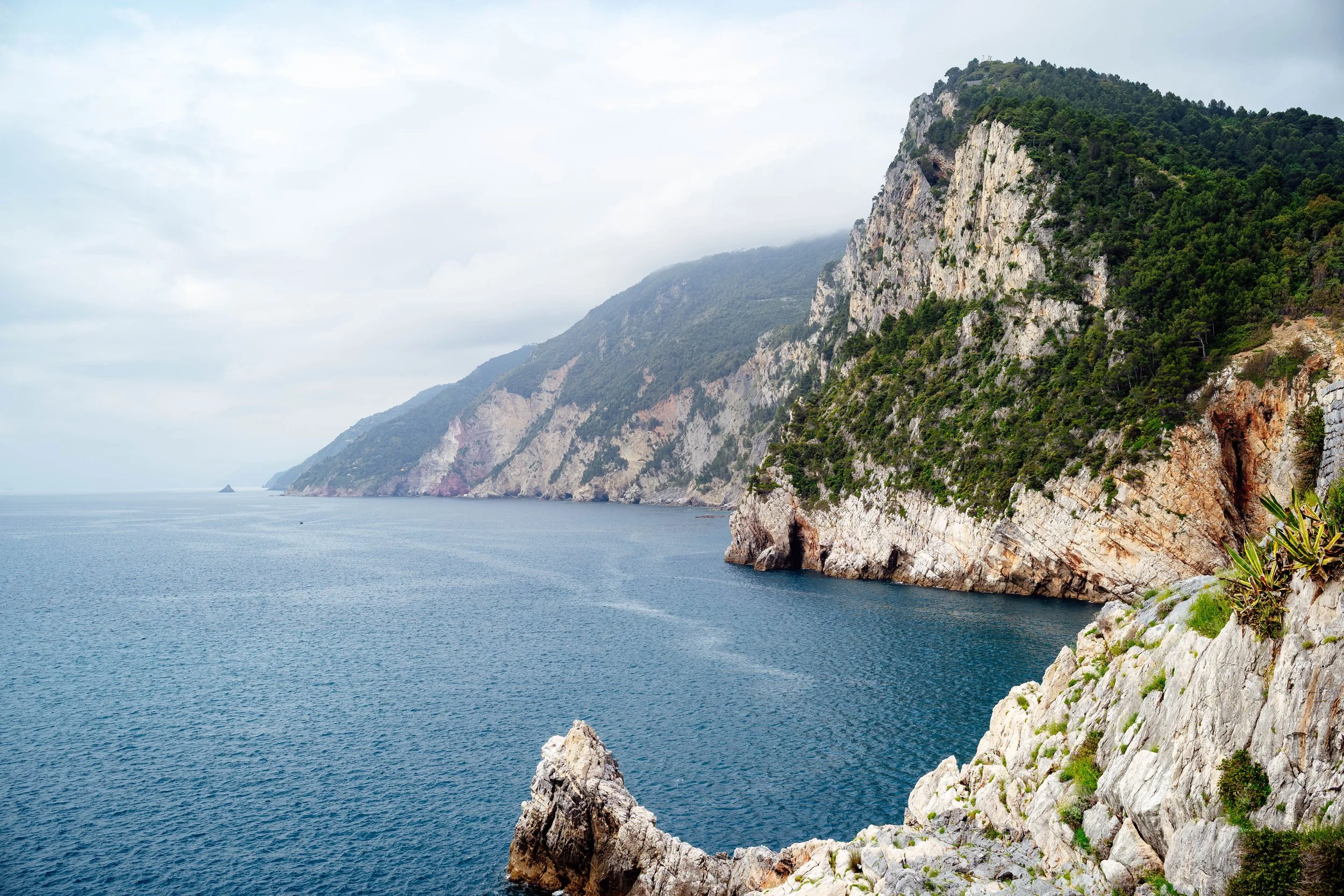 20240516-L1004212 copy.jpg