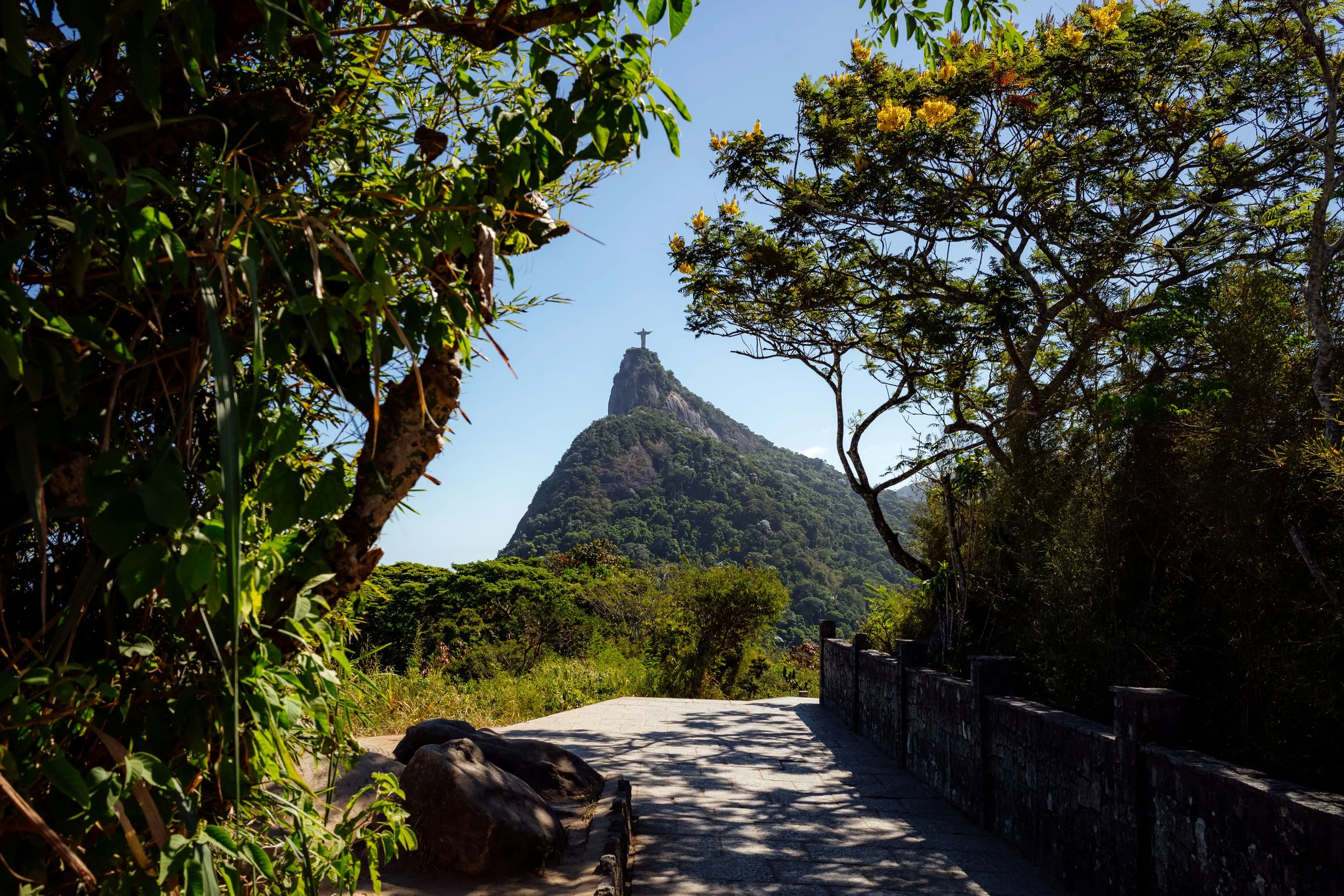 20250224-L1000910 copy.jpg