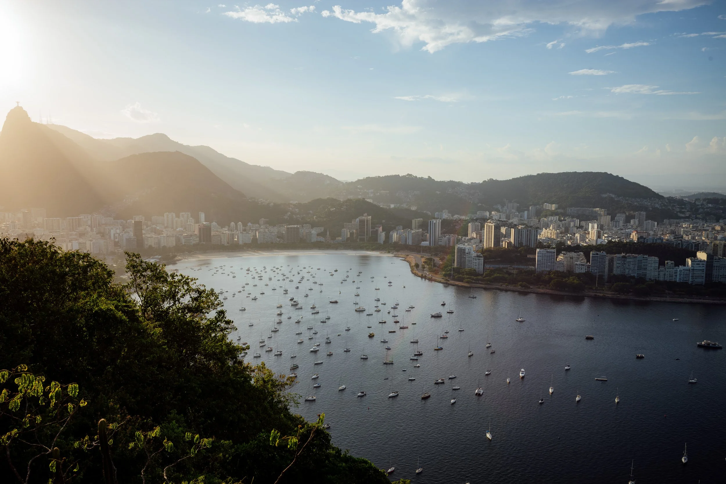 20250223-L1000694 copy.jpg